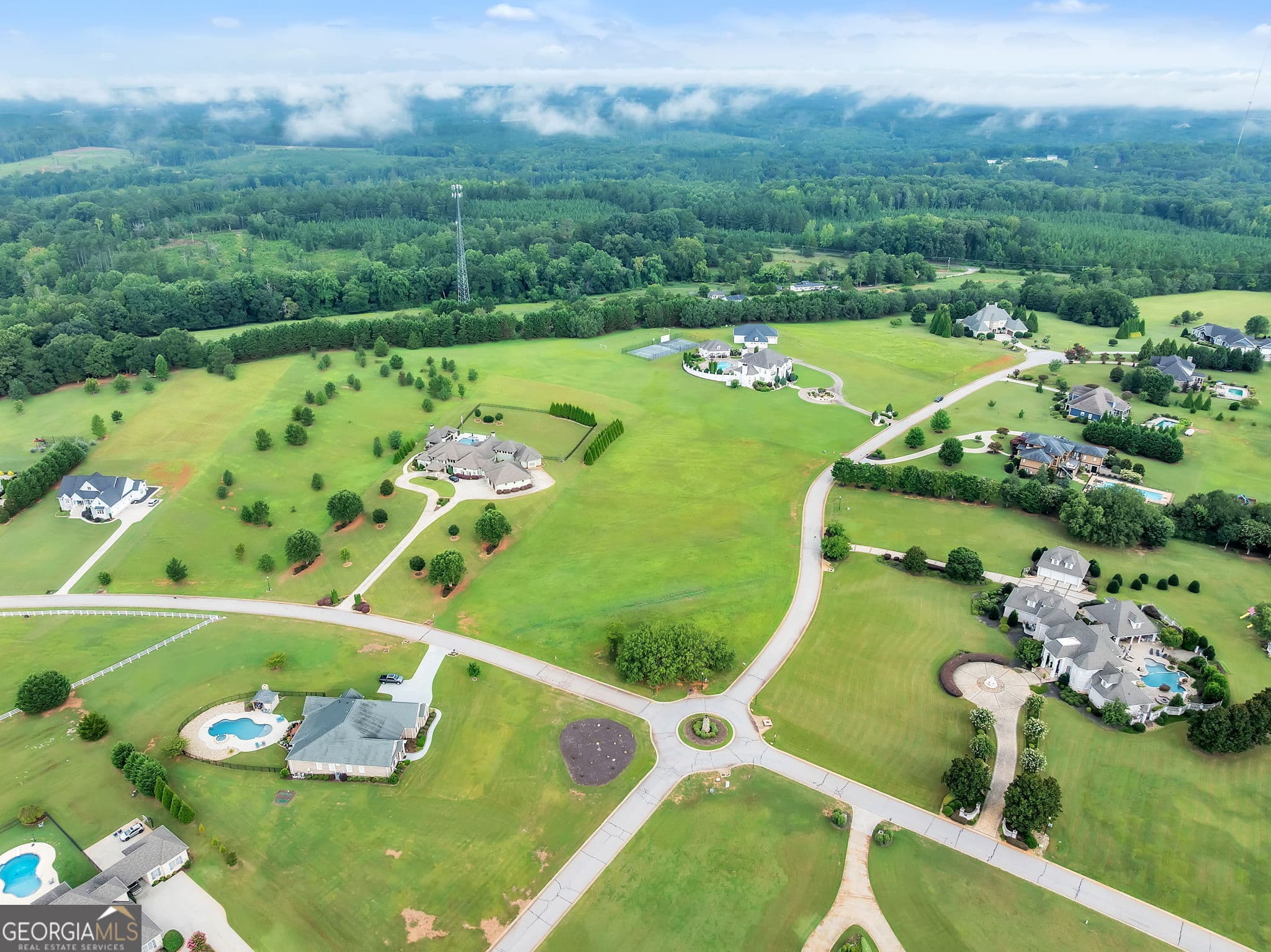 agriculture for sale at LOT 51 Chestnut Springs Way, Williamston, SC 29697 — photo 4