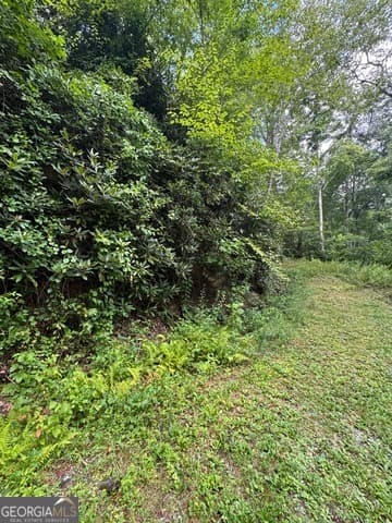 residential lot for sale at 0 CREST Lane LOT 5, Rabun Gap, GA 30568 — photo 3