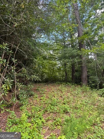 residential lot for sale at 0 CREST Lane LOT 5, Rabun Gap, GA 30568 — photo 5