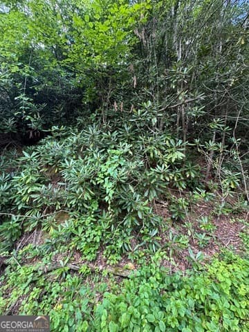 residential lot for sale at 0 CREST Lane LOT 5, Rabun Gap, GA 30568 — photo 4