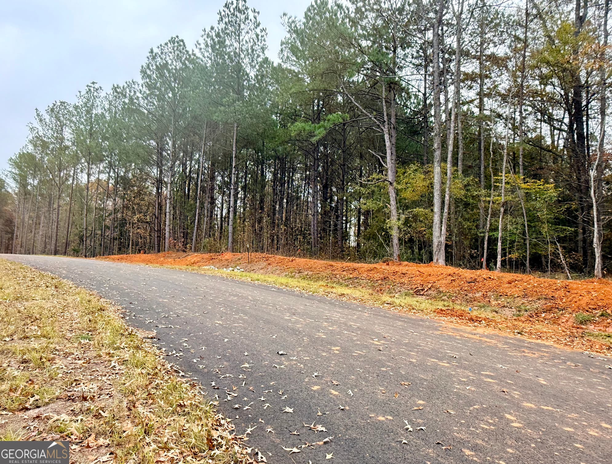 residential lot for sale at LOT 19 Rolling Meadows Way, Waverly Hall, GA 31831 — photo 6