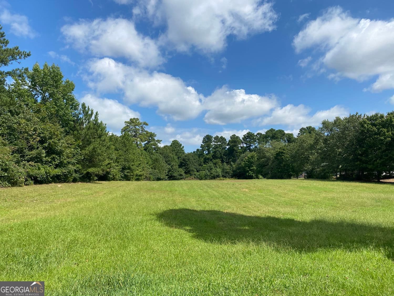 commercial for sale at 0 Mt Zion Boulevard, Jonesboro, GA 30236 — photo 8