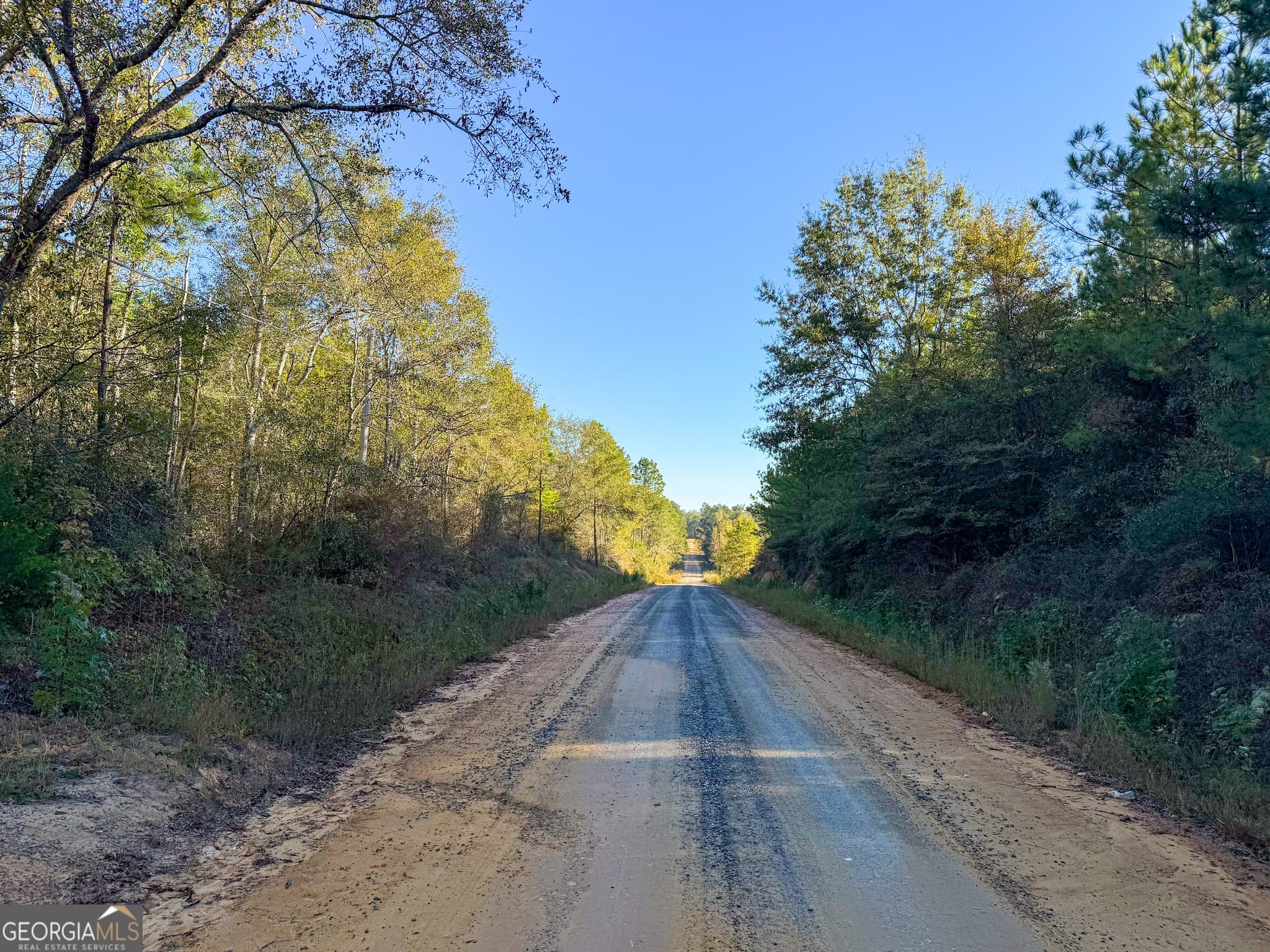 unimproved land for sale at 0 Raymond Wilkes Road, Rockledge, GA 30454 — photo 6