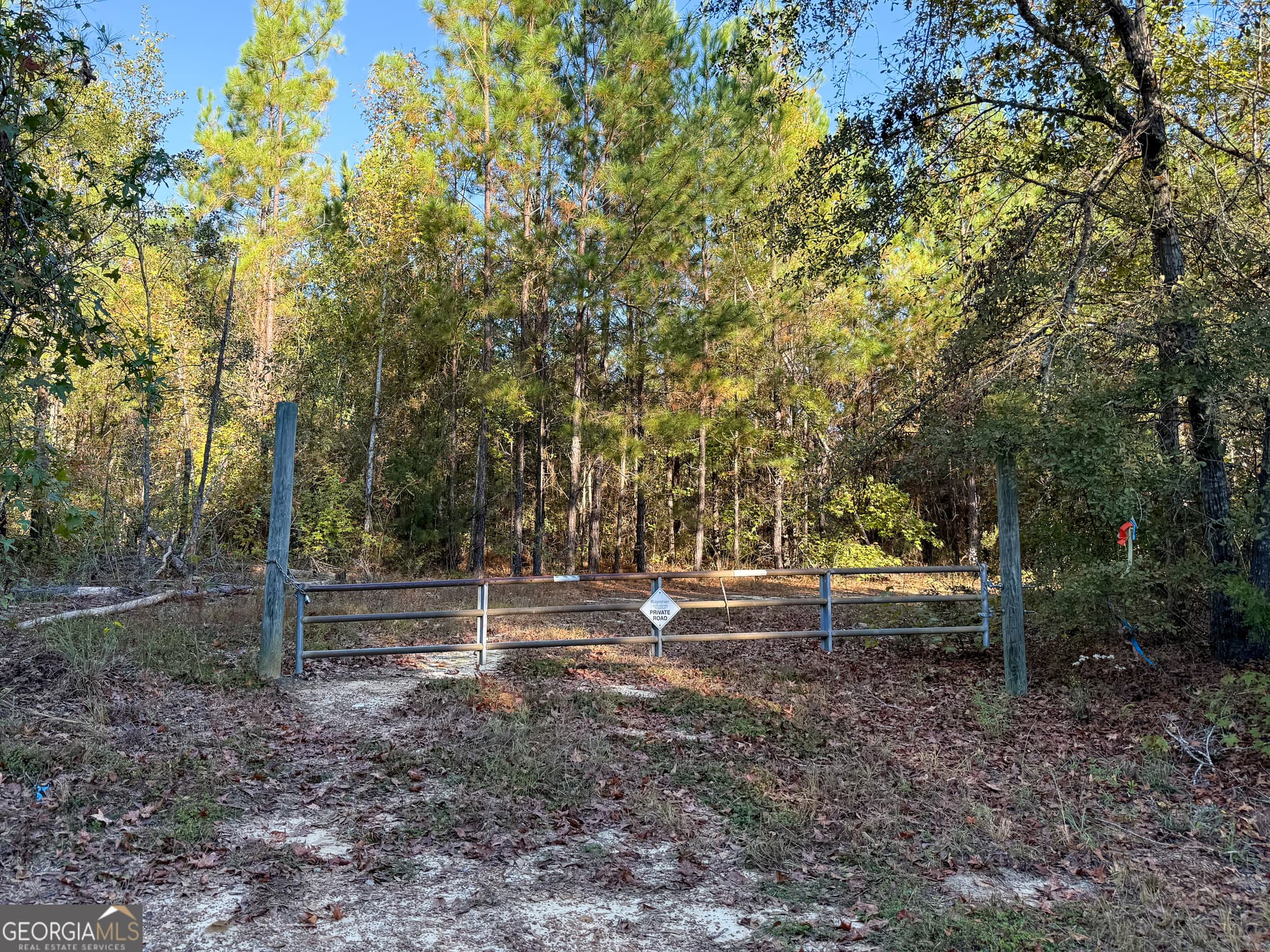 unimproved land for sale at 0 Raymond Wilkes Road, Rockledge, GA 30454 — photo 7