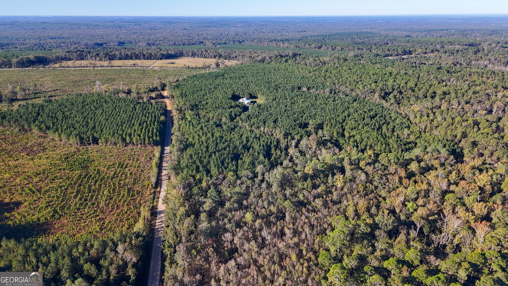 unimproved land for sale at 0 Raymond Wilkes Road, Rockledge, GA 30454 — photo 3