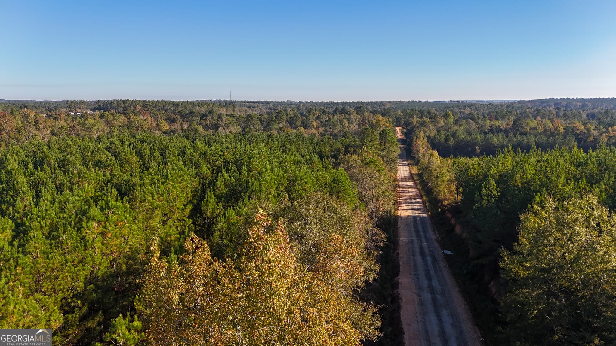 unimproved land for sale at 0 Raymond Wilkes Road, Rockledge, GA 30454 — photo 1 of 9