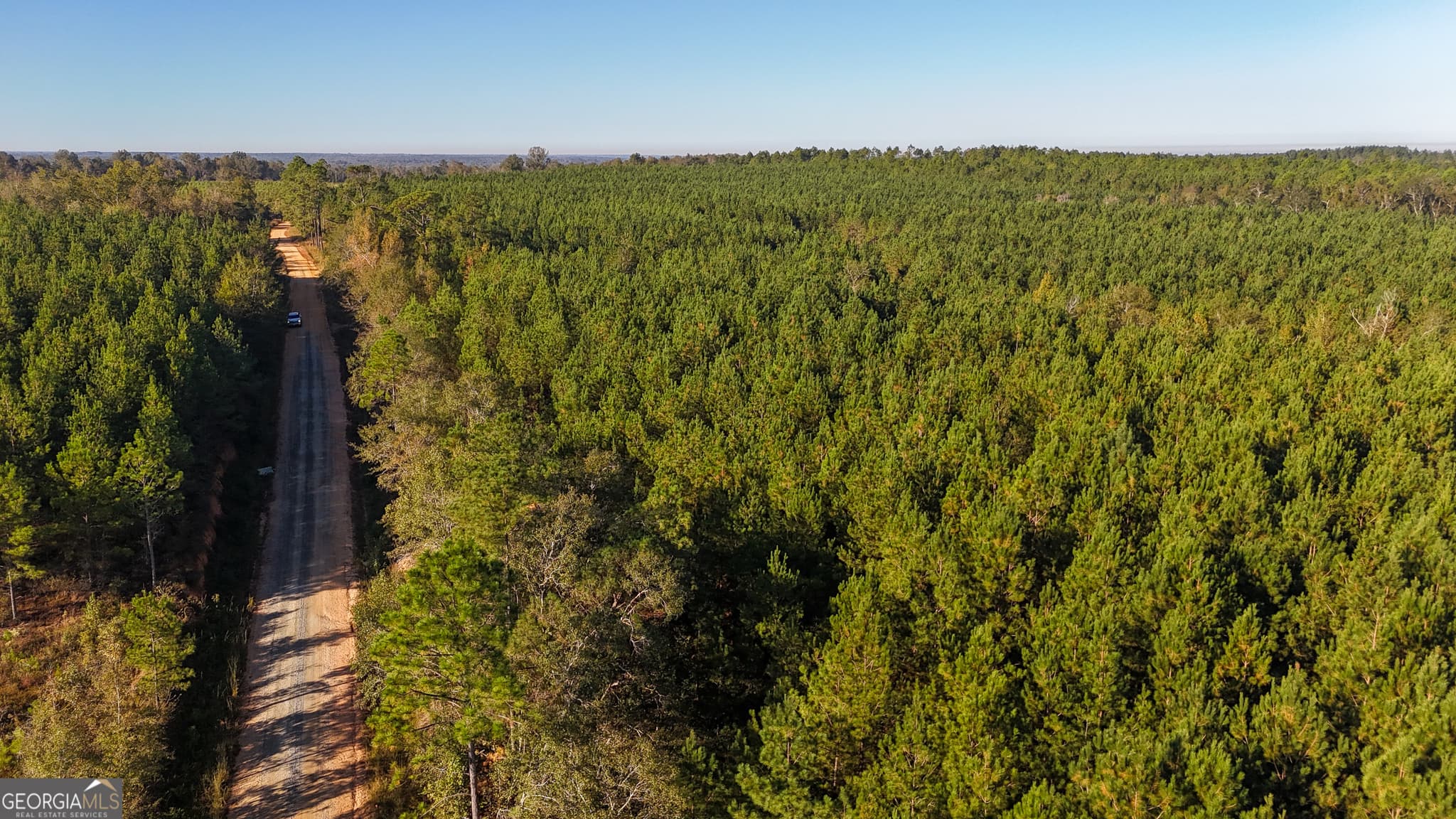 unimproved land for sale at 0 Raymond Wilkes Road, Rockledge, GA 30454 — photo 5