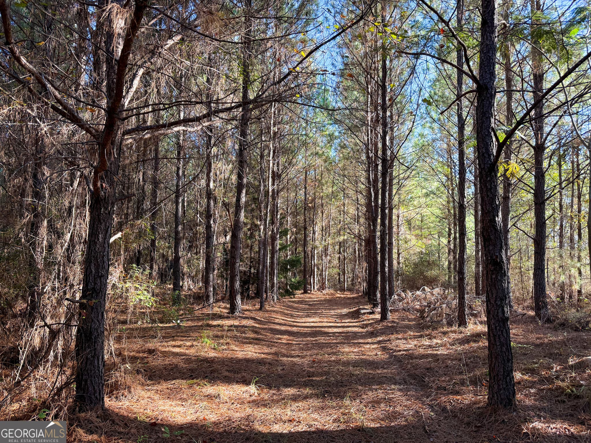 unimproved land for sale at 0 Raymond Wilkes Road, Rockledge, GA 30454 — photo 9