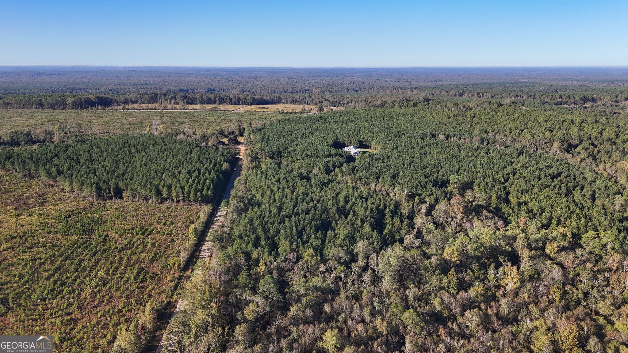 unimproved land for sale at 0 Raymond Wilkes Road, Rockledge, GA 30454 — photo 4