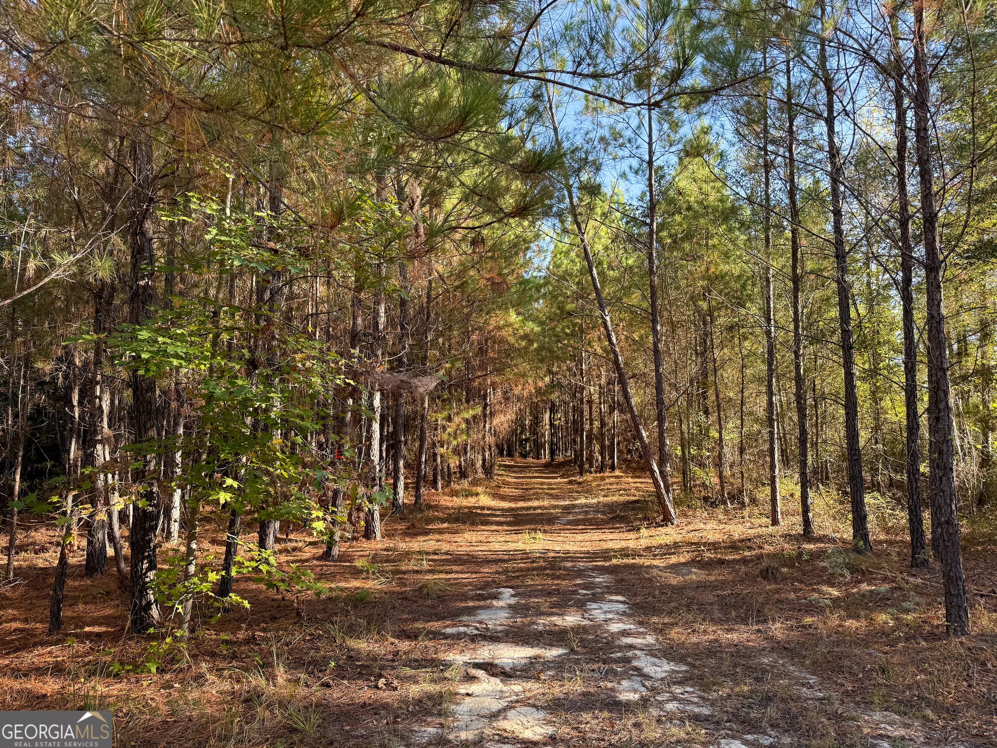 unimproved land for sale at 0 Raymond Wilkes Road, Rockledge, GA 30454 — photo 8