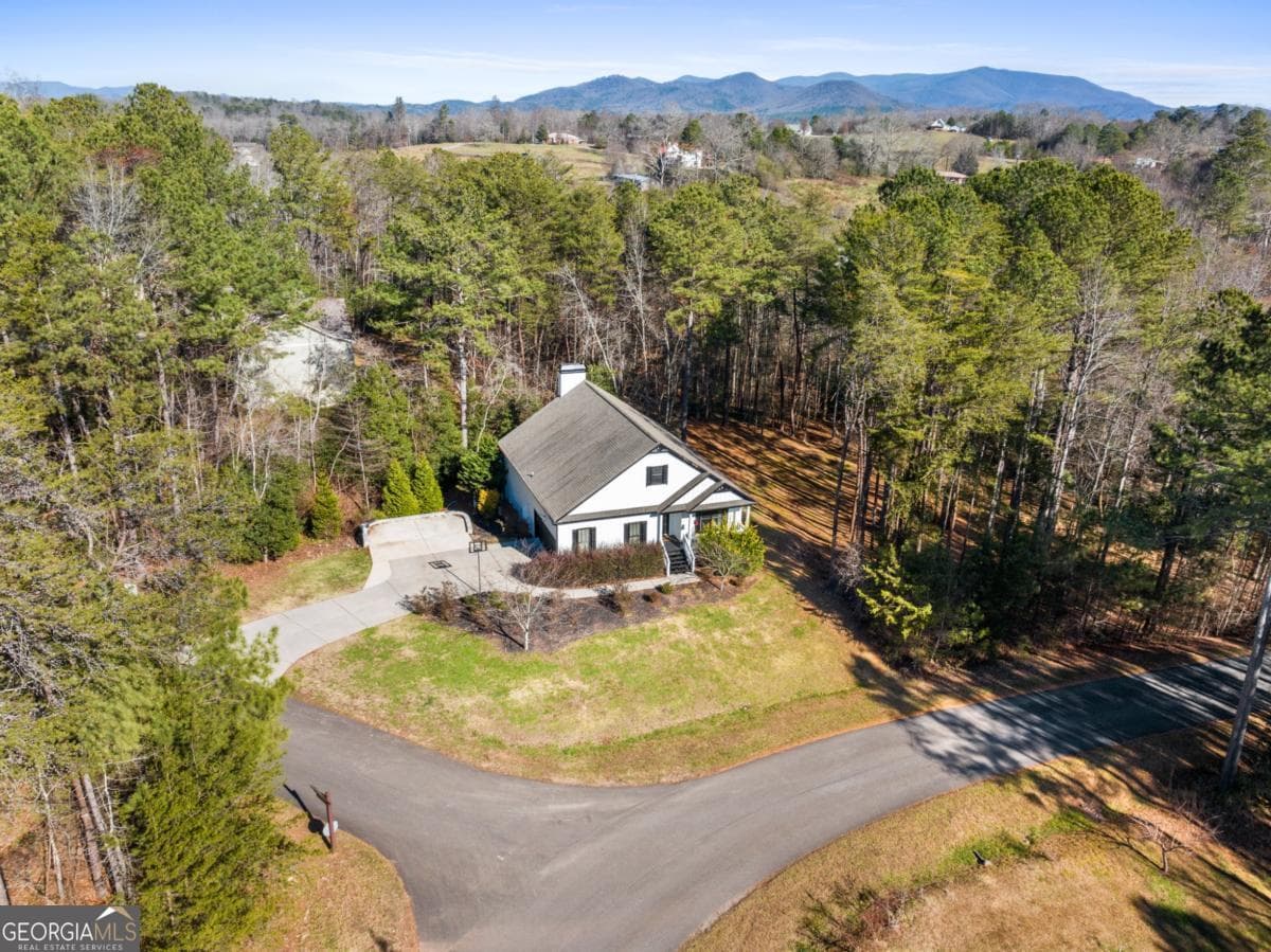 5 bedroom, 3 bathroom, 3,400 sq ft single family residence for sale at 41 Brumby Trail, Ellijay, GA 30536 — photo 9