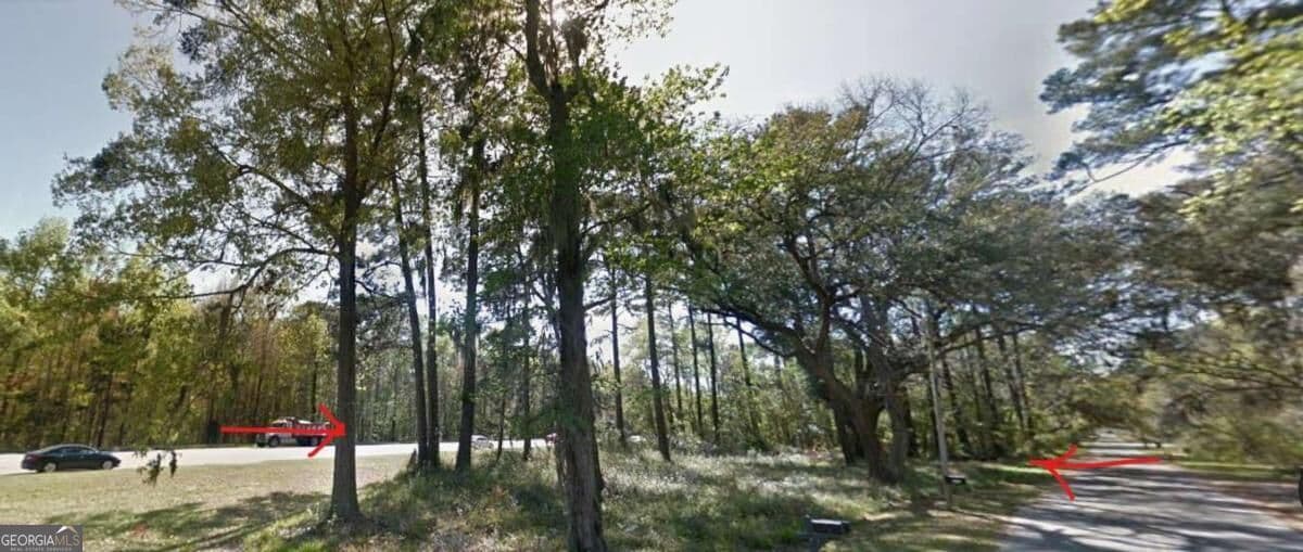 unimproved land for sale at 0 Silk Hope Road, Garden City, GA 31405 — photo 2