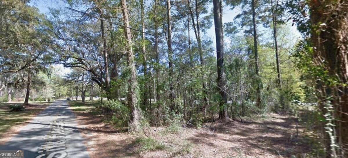 unimproved land for sale at 0 Silk Hope Road, Garden City, GA 31405 — photo 1 of 2