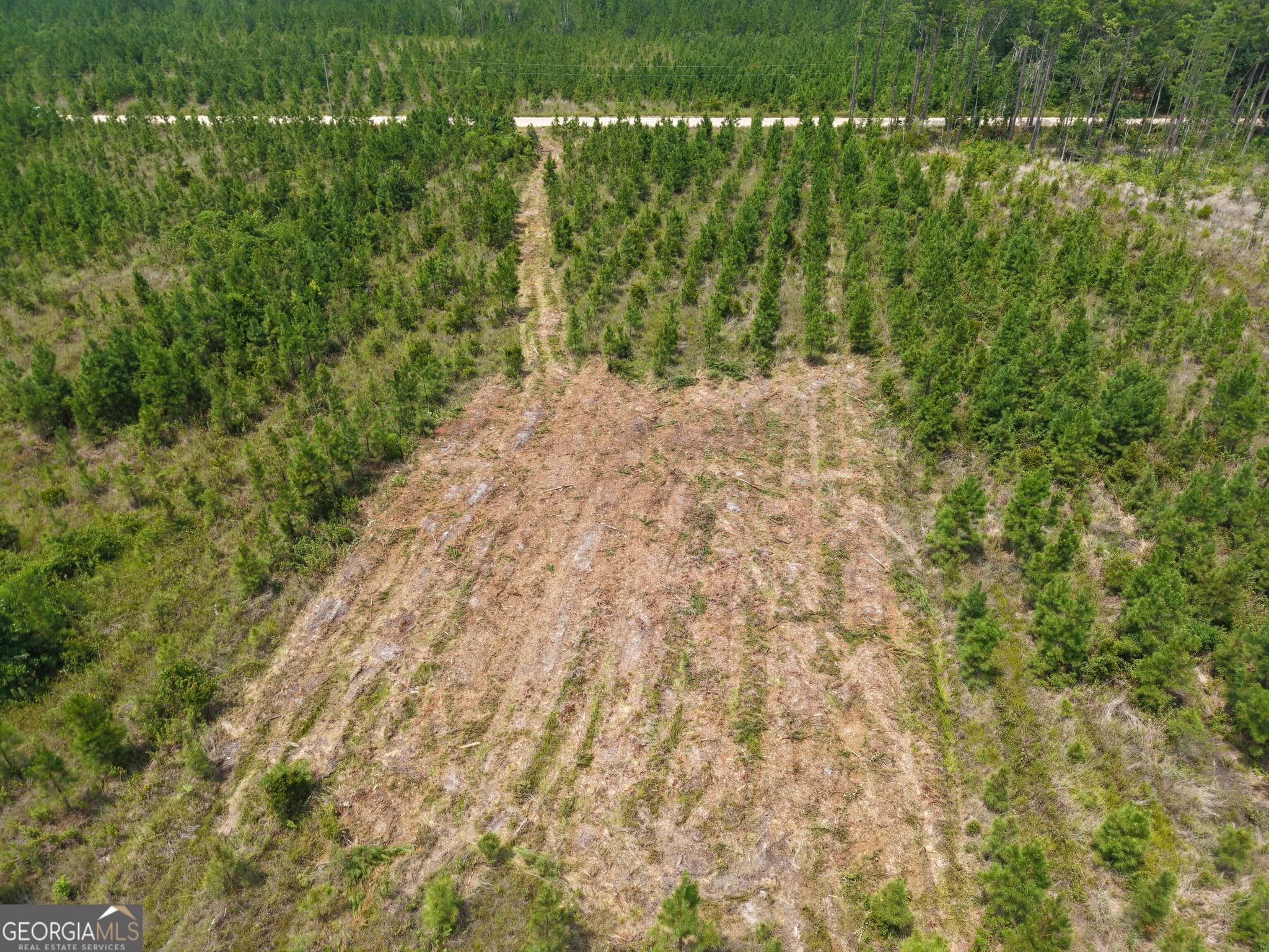 unimproved land for sale at TRACT 5 Owens Ferry Road, White Oak, GA 31568 — photo 2