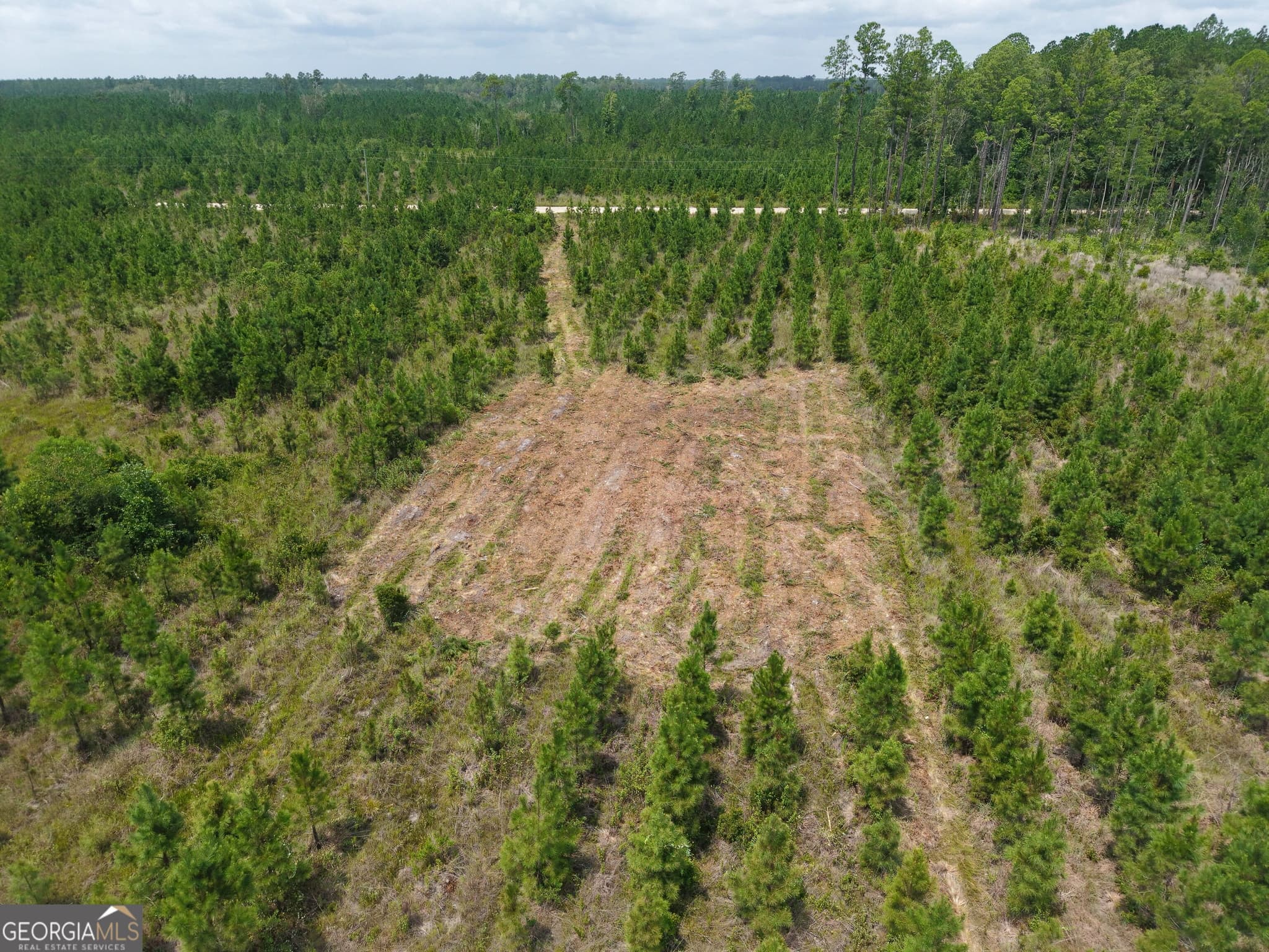 unimproved land for sale at TRACT 5 Owens Ferry Road, White Oak, GA 31568 — photo 6