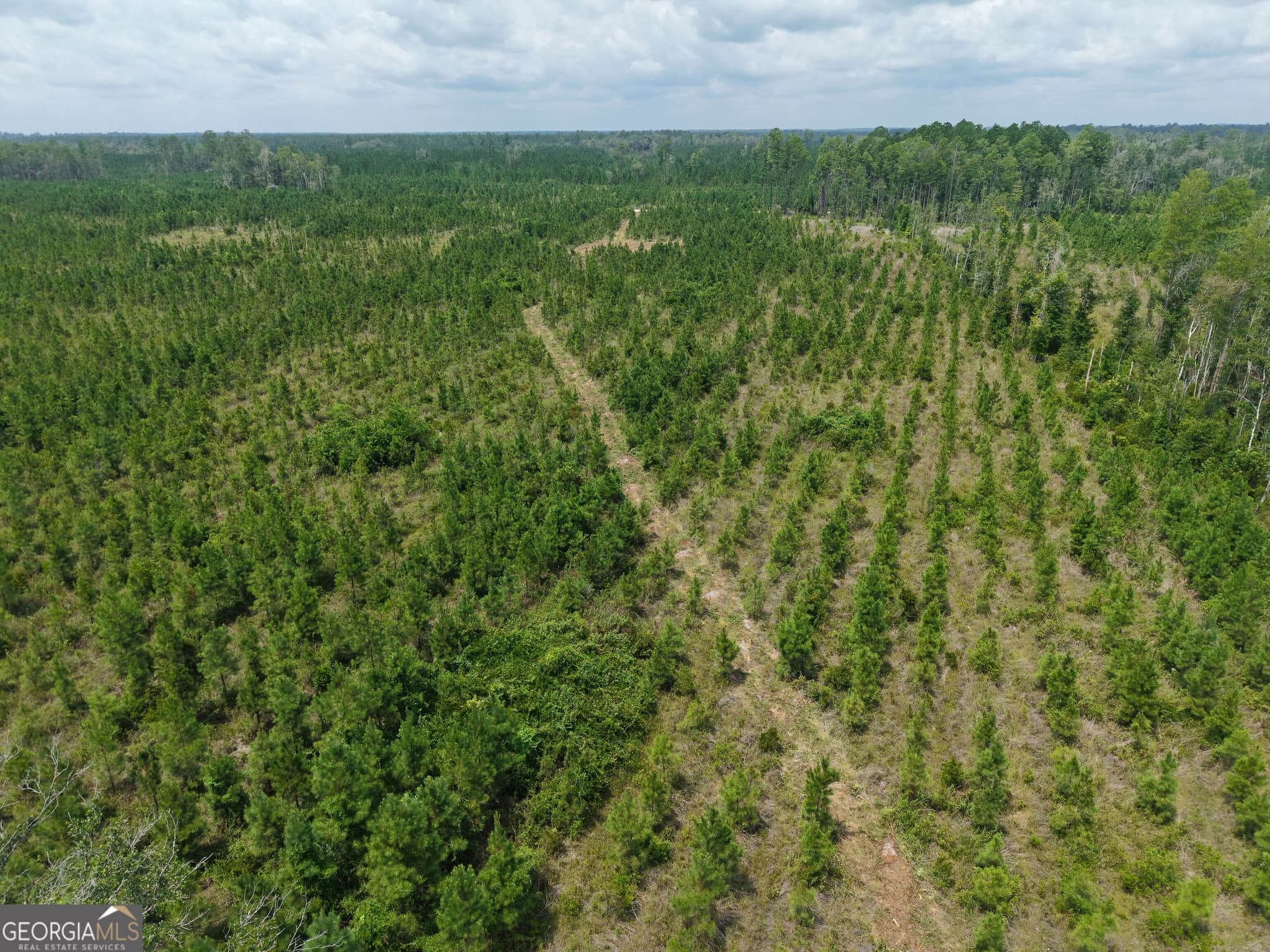 unimproved land for sale at TRACT 5 Owens Ferry Road, White Oak, GA 31568 — photo 7