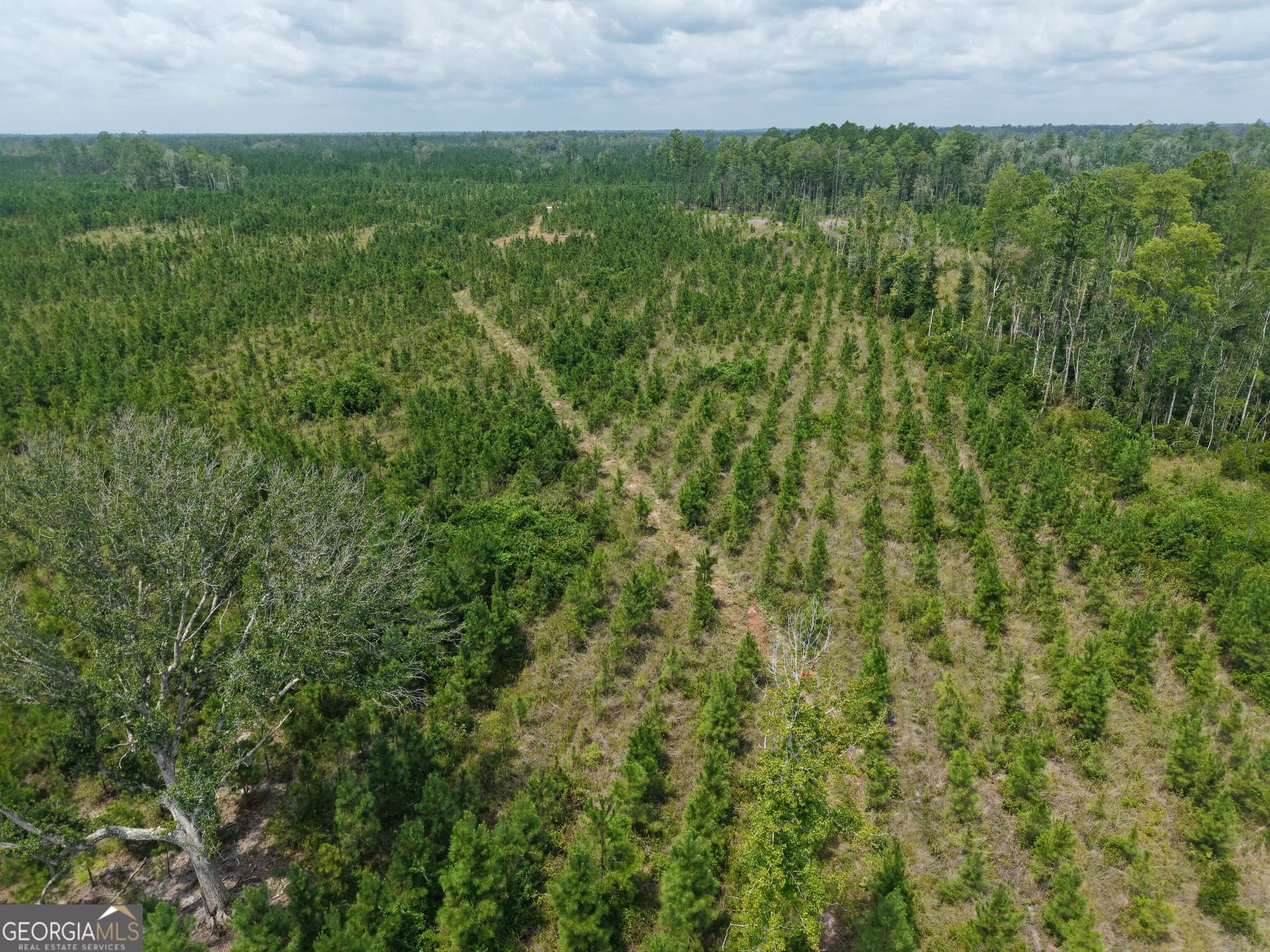 unimproved land for sale at TRACT 5 Owens Ferry Road, White Oak, GA 31568 — photo 3