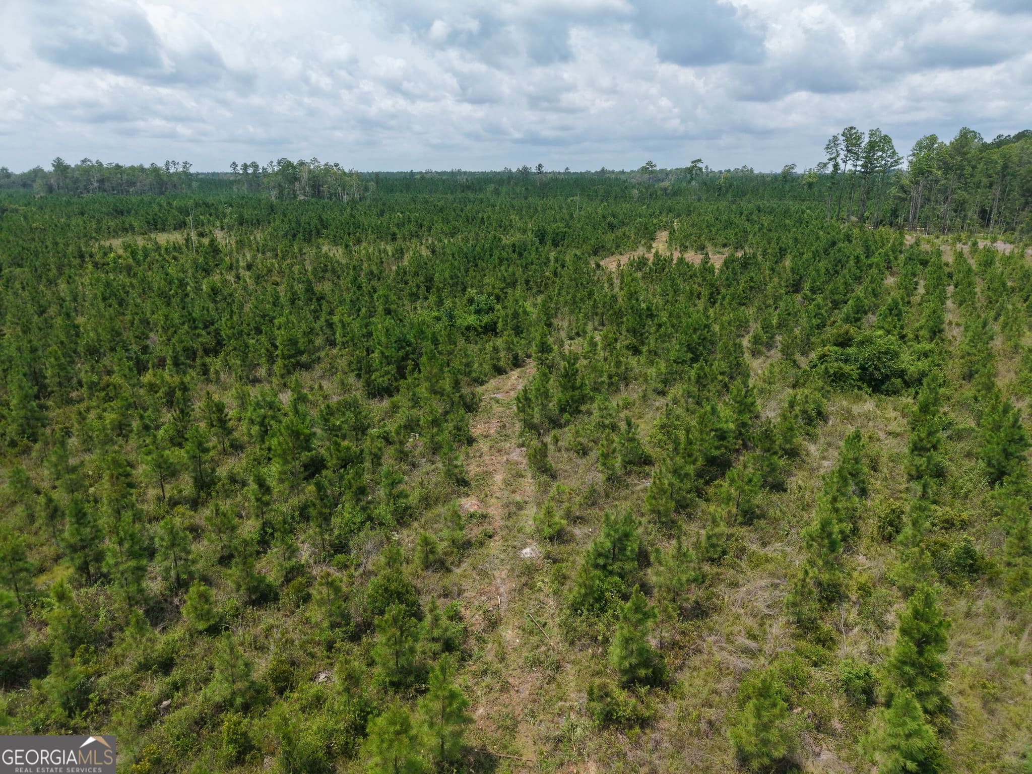 unimproved land for sale at TRACT 5 Owens Ferry Road, White Oak, GA 31568 — photo 10