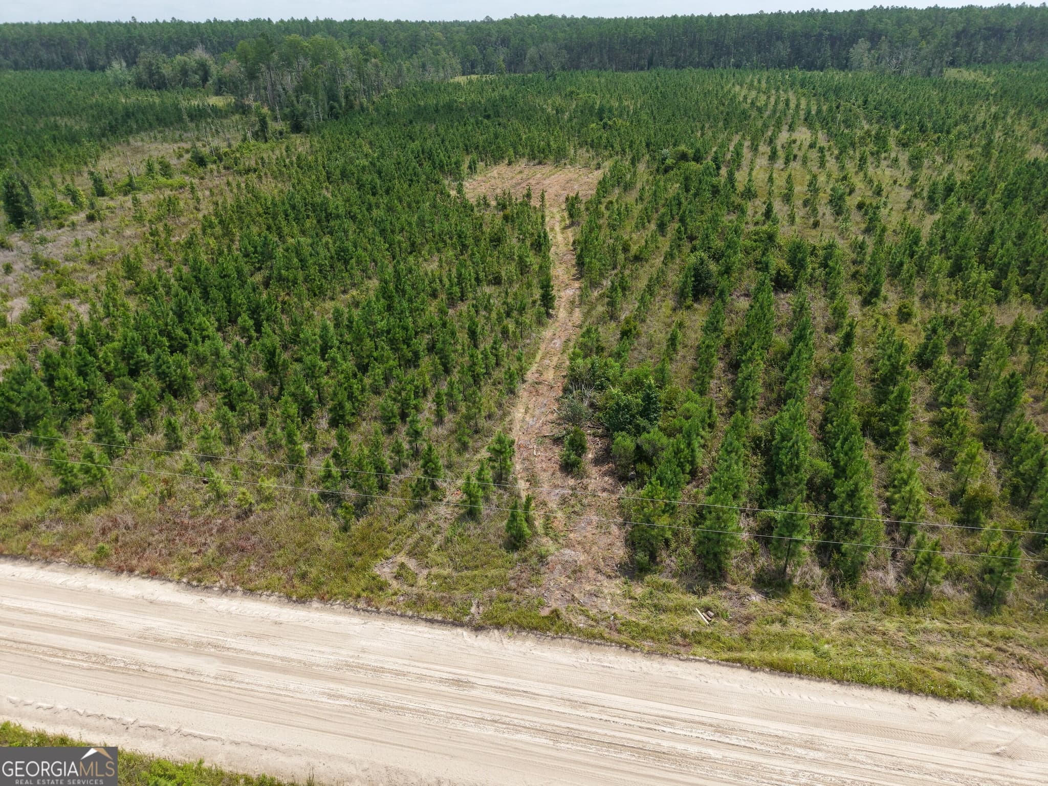 unimproved land for sale at TRACT 5 Owens Ferry Road, White Oak, GA 31568 — photo 4