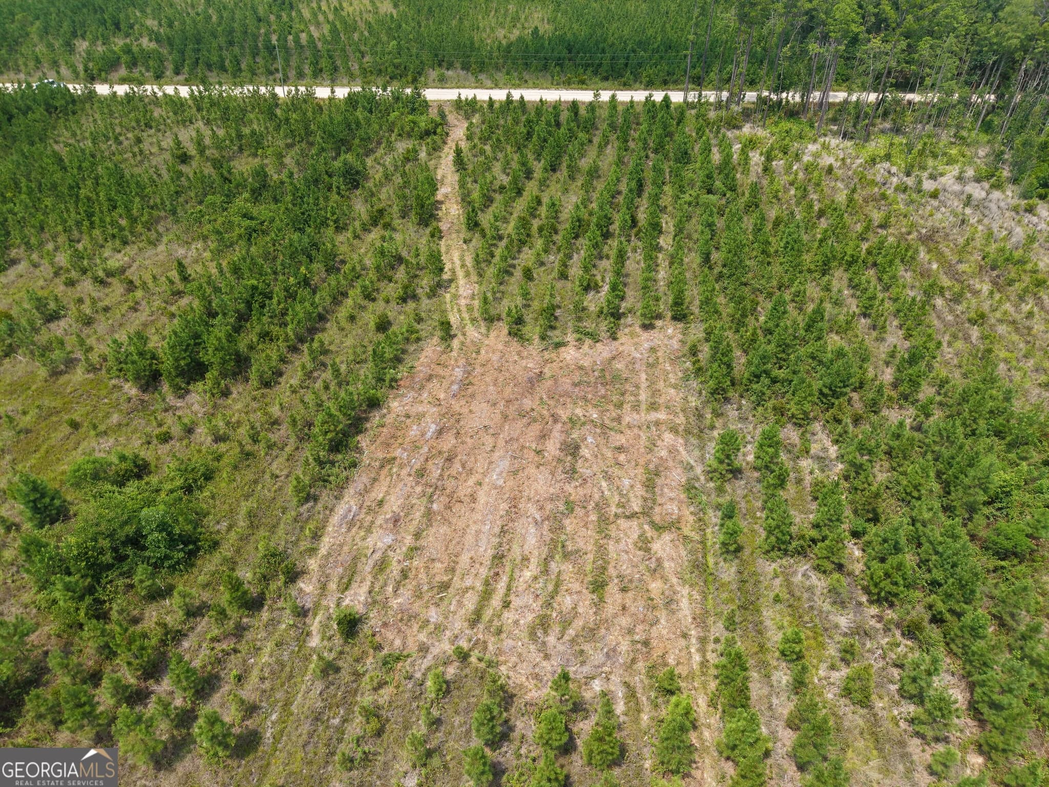 unimproved land for sale at TRACT 5 Owens Ferry Road, White Oak, GA 31568 — photo 8