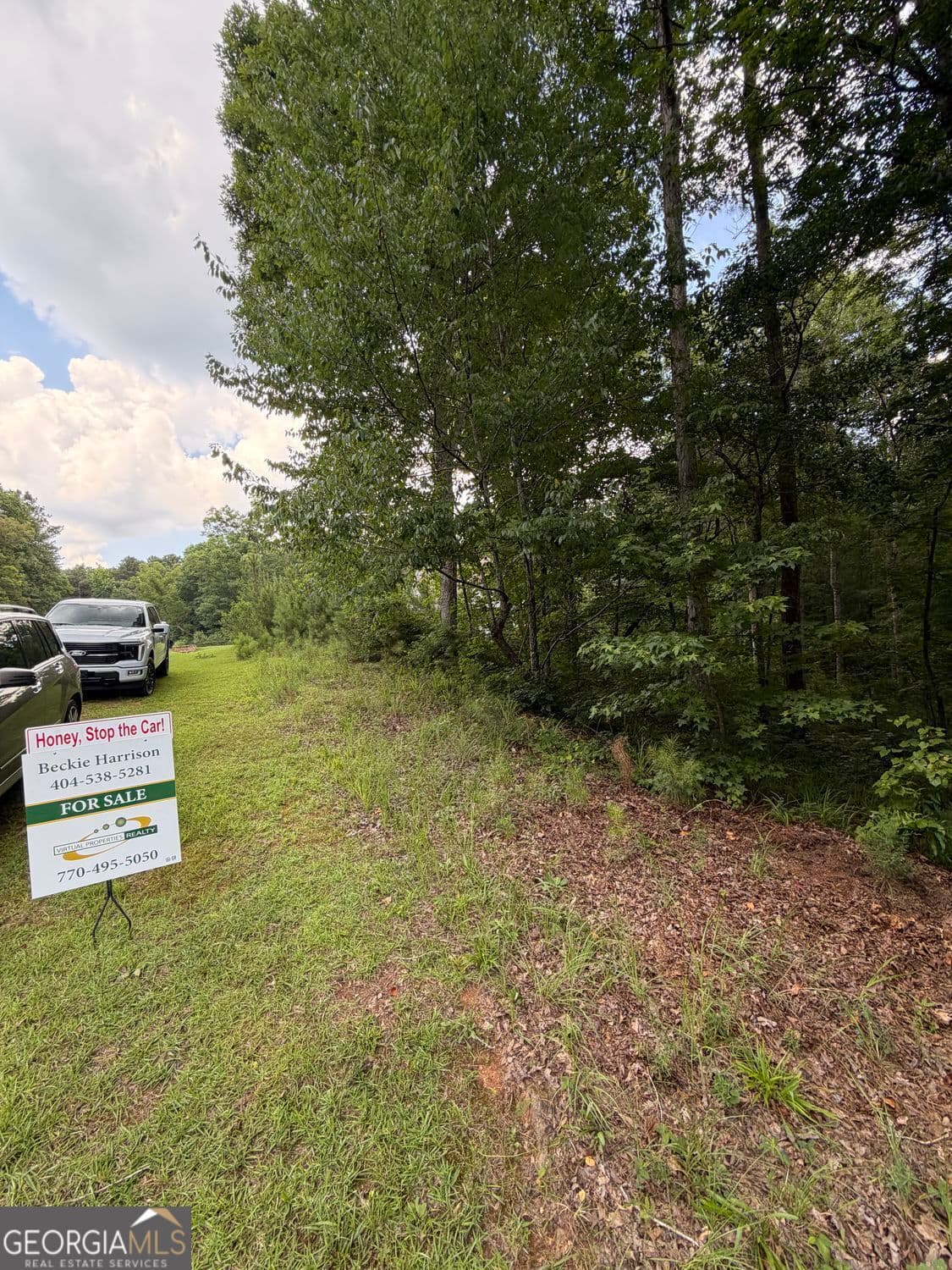 residential lot for sale at 0 SERENITY, Cataula, GA 31804 — photo 6