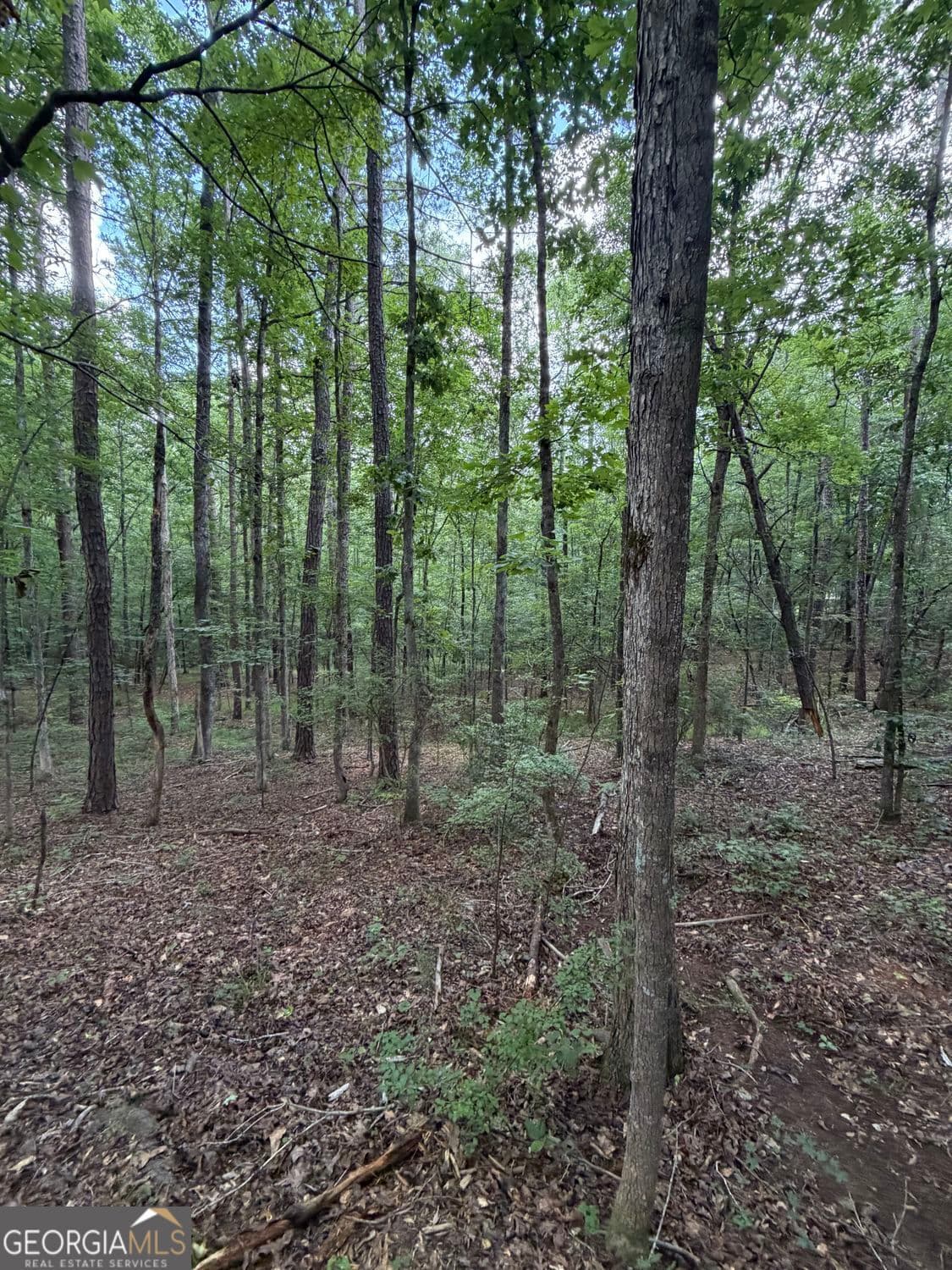 residential lot for sale at 0 SERENITY, Cataula, GA 31804 — photo 7