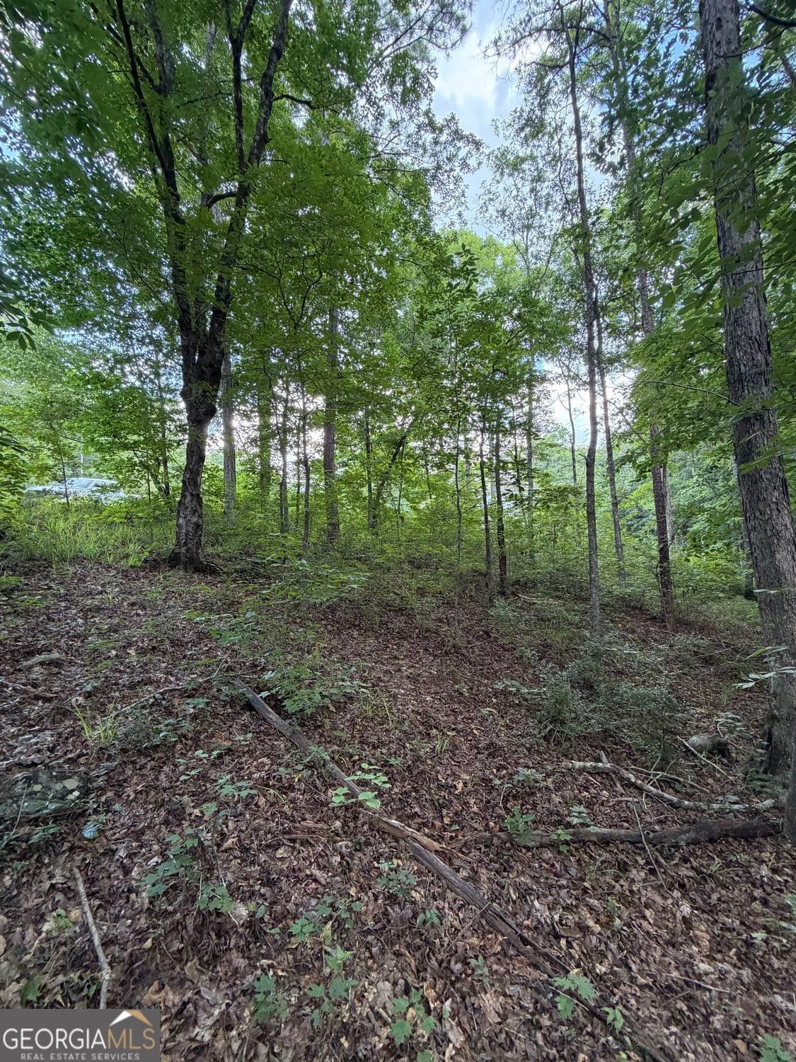 residential lot for sale at 0 SERENITY, Cataula, GA 31804 — photo 5