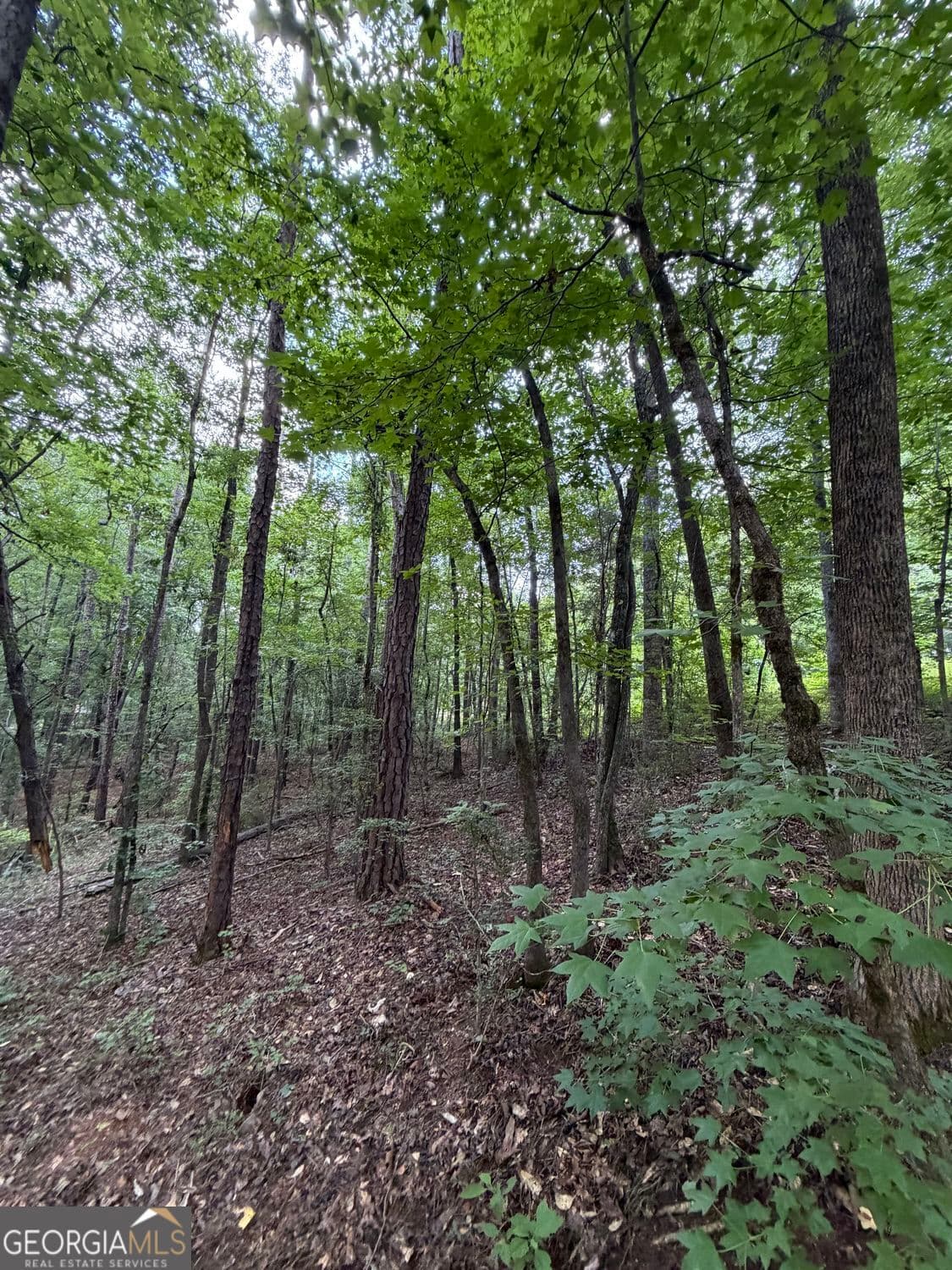 residential lot for sale at 0 SERENITY, Cataula, GA 31804 — photo 9