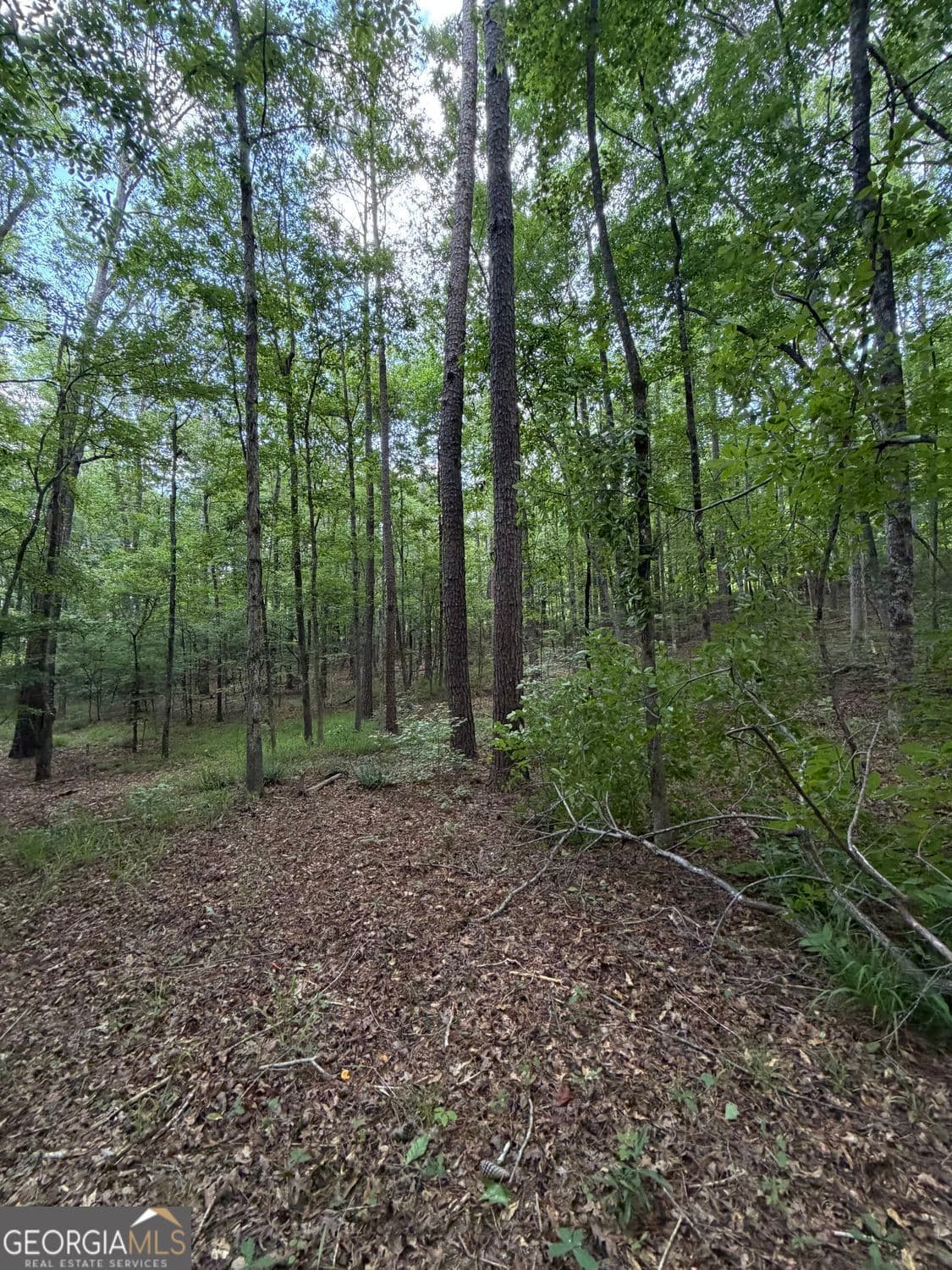 residential lot for sale at 0 SERENITY, Cataula, GA 31804 — photo 10