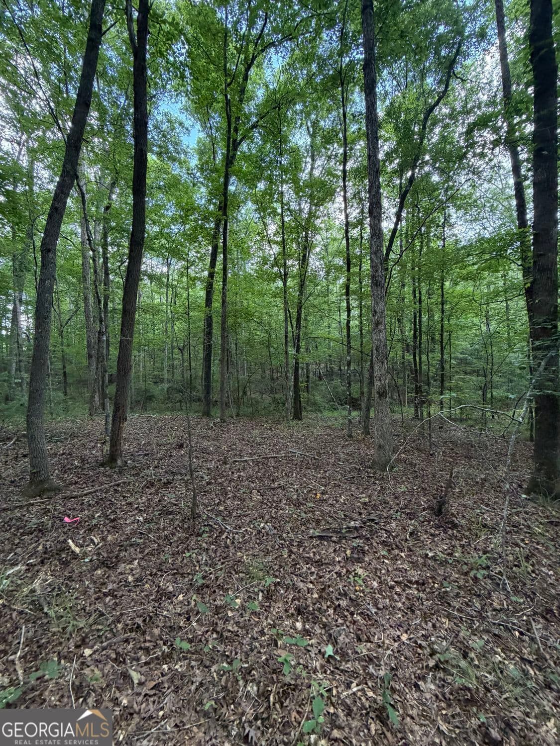 residential lot for sale at 0 SERENITY, Cataula, GA 31804 — photo 8