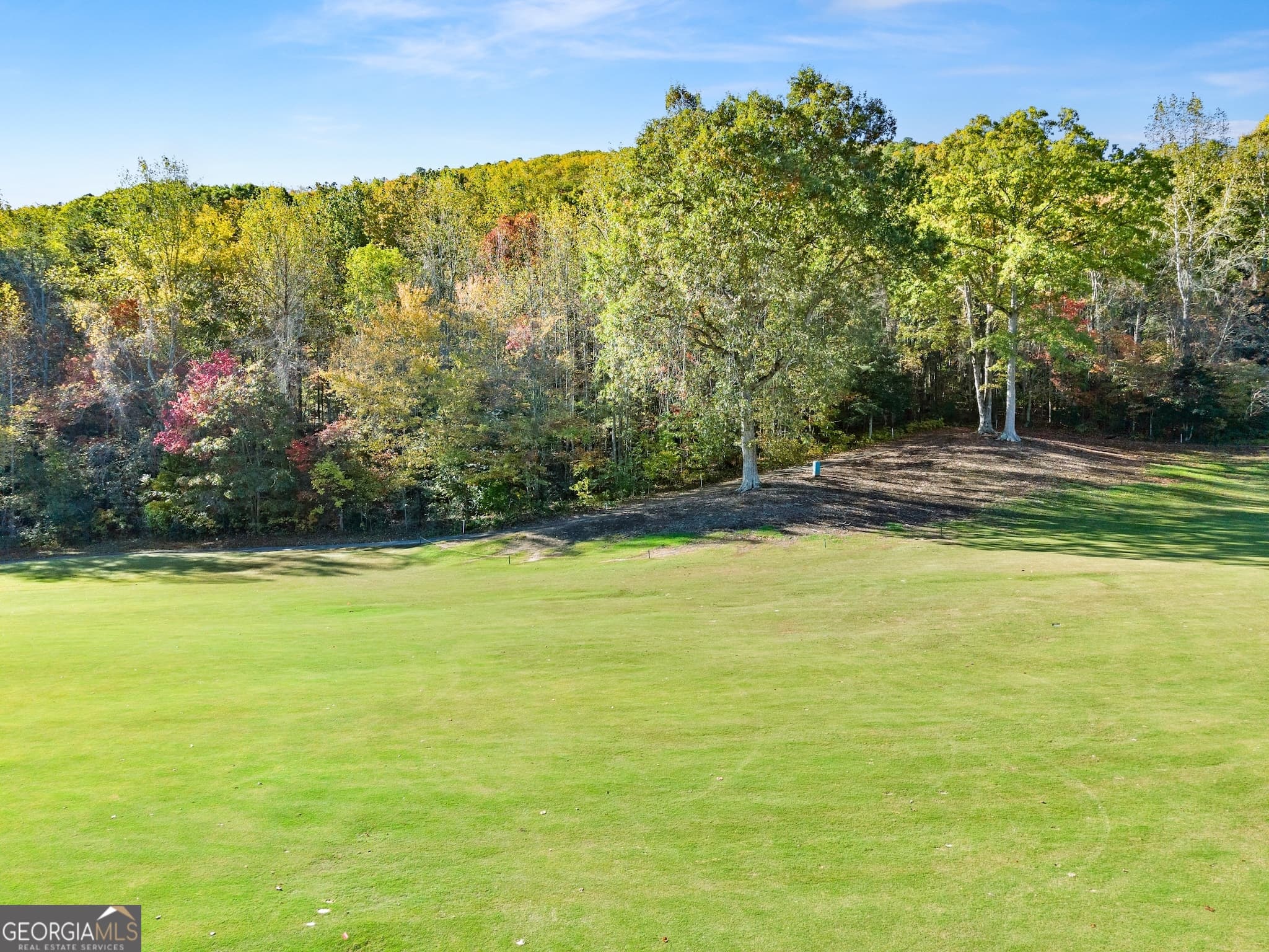 residential lot for sale at 0 Orchard Drive, Clarkesville, GA 30523 — photo 4