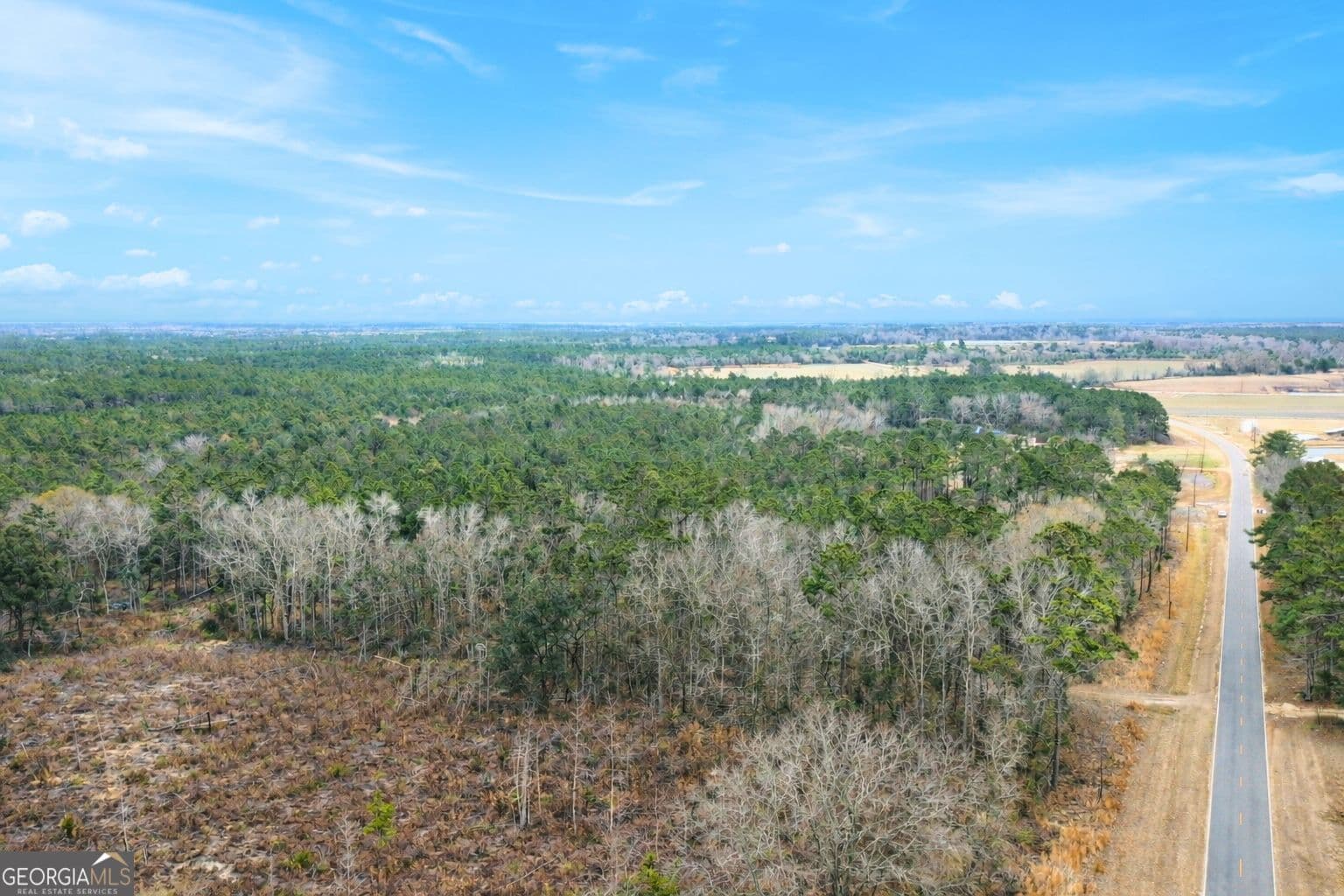 agriculture sold at TRACT 2 Tank Road, Odum, GA 31555