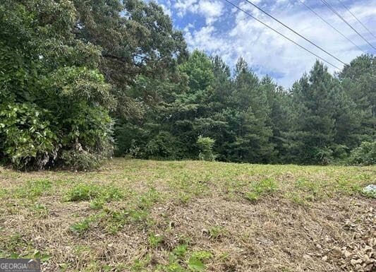 unimproved land for sale at 0 Highway 431, Roanoke, AL 36274 — photo 2