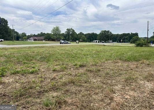 unimproved land for sale at 0 Highway 431, Roanoke, AL 36274 — photo 3