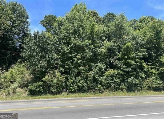 unimproved land for sale at 0 Highway 431, Roanoke, AL 36274