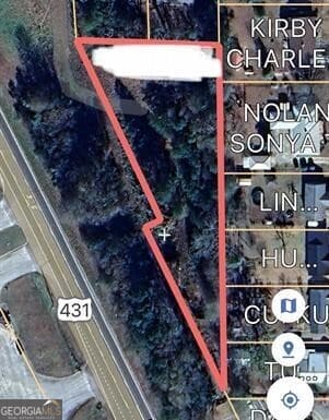 unimproved land for sale at 0 Highway 431, Roanoke, AL 36274 — photo 5