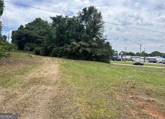 unimproved land for sale at 0 Highway 431, Roanoke, AL 36274 — photo 4