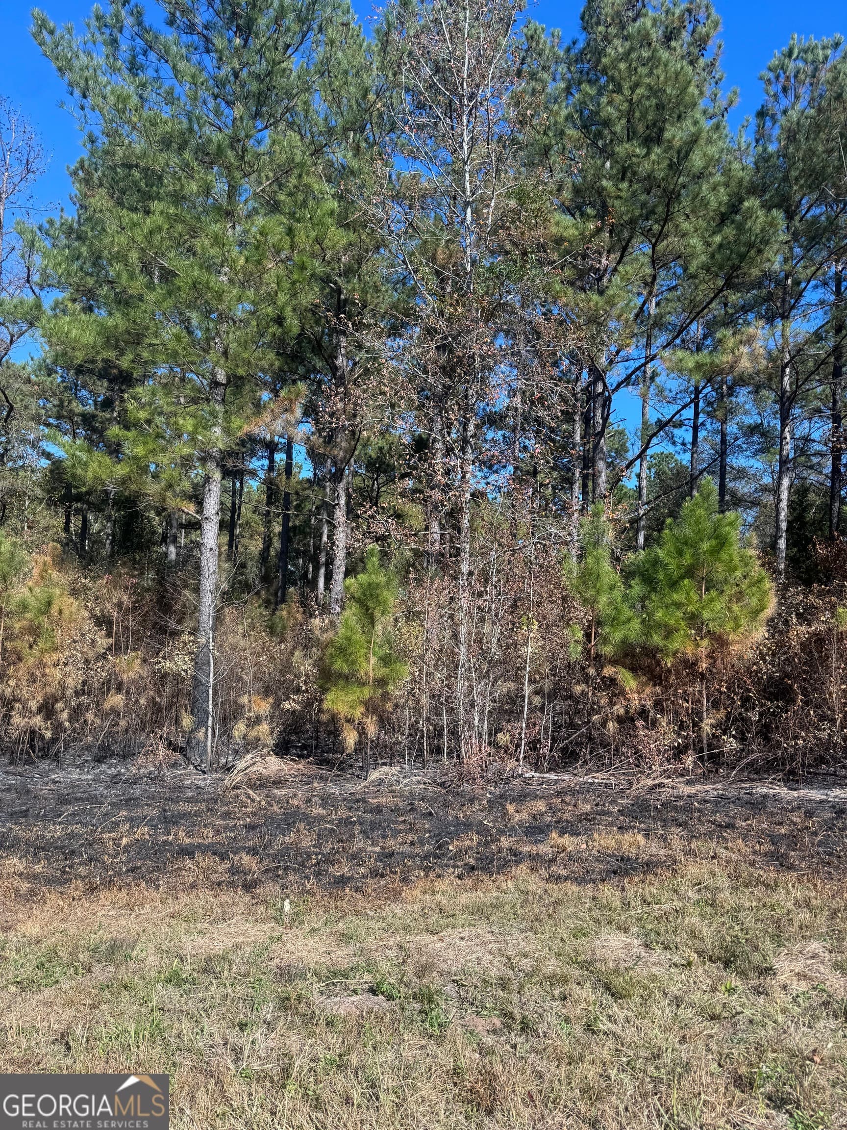 residential lot for sale at 131 W Drummond Road, West Point, GA 31833 — photo 2