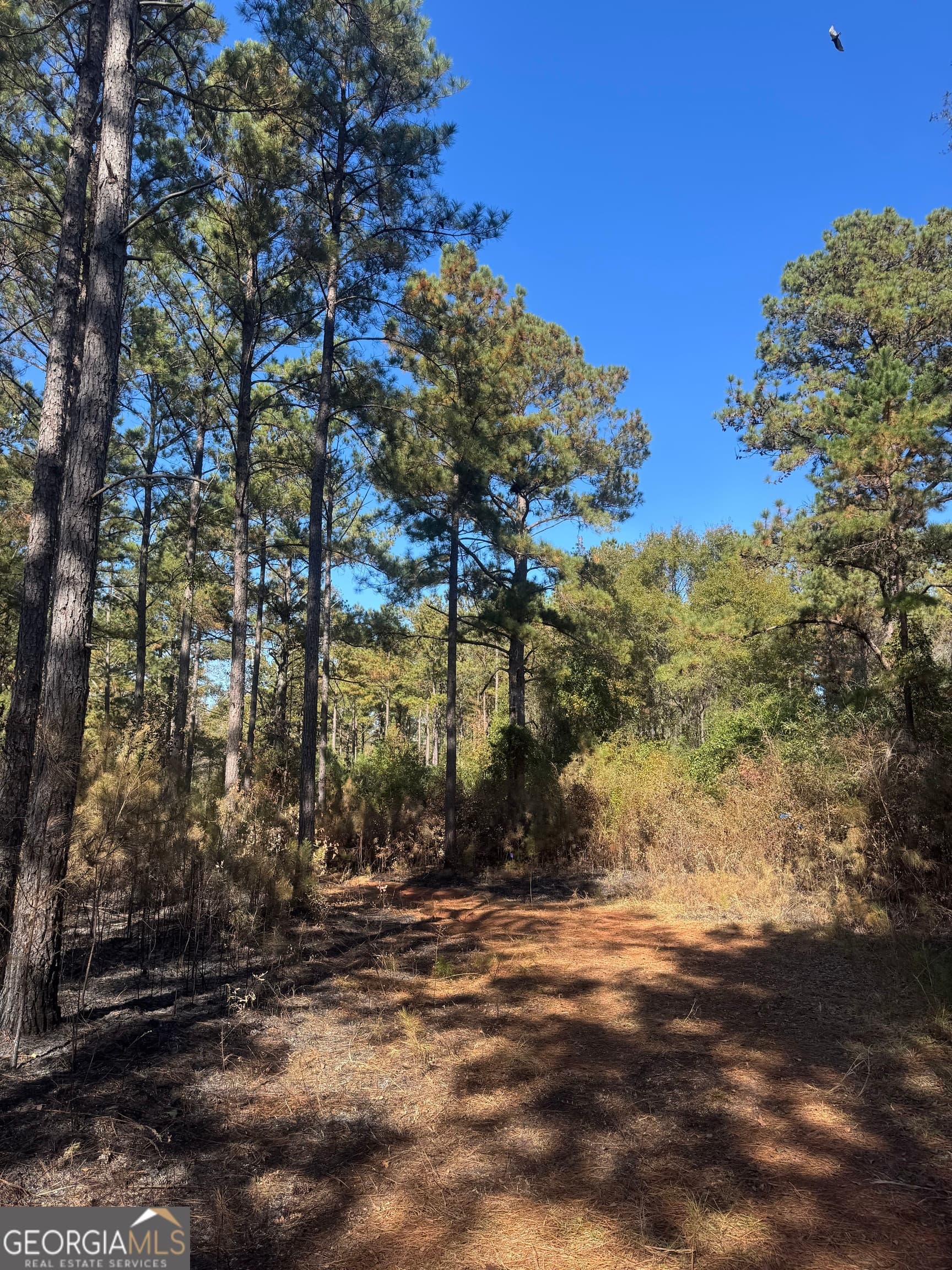 residential lot for sale at 131 W Drummond Road, West Point, GA 31833 — photo 3