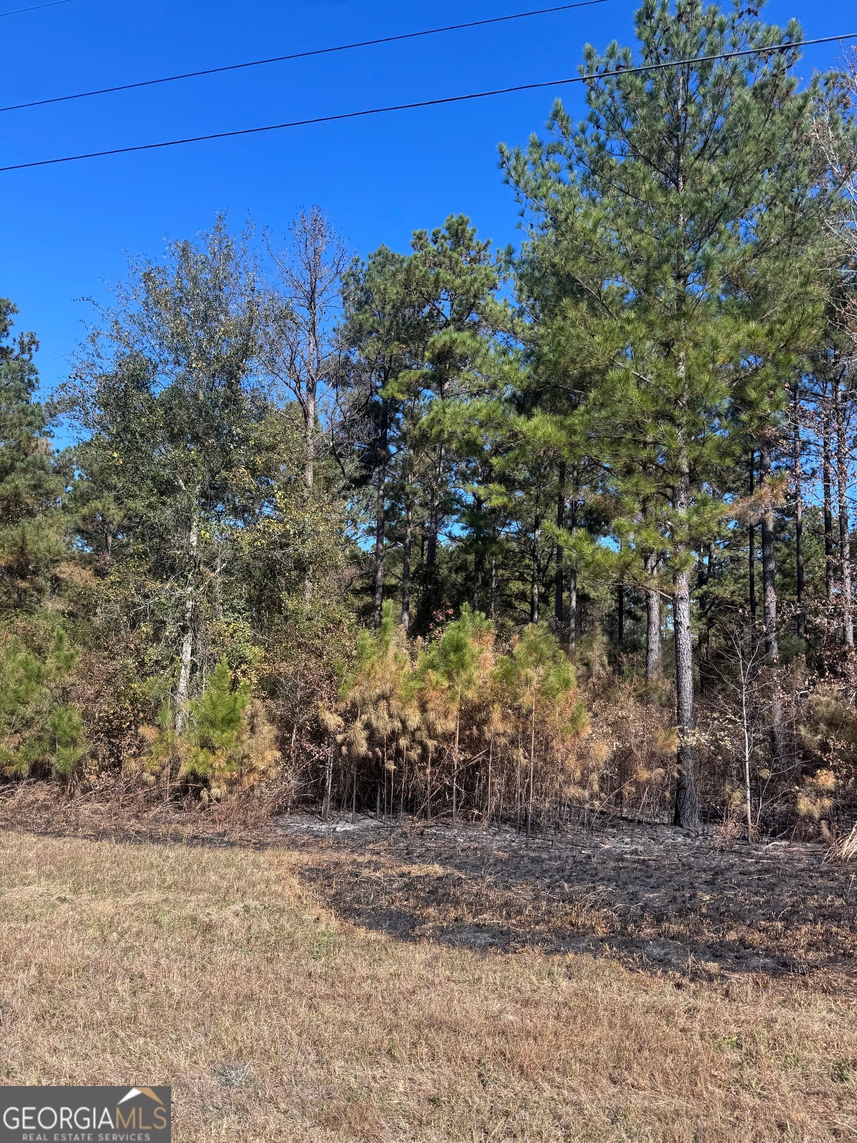 residential lot for sale at 131 W Drummond Road, West Point, GA 31833 — photo 1 of 6