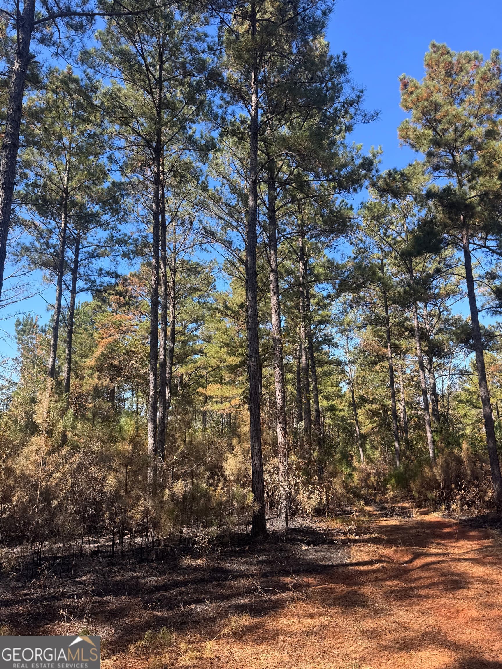residential lot for sale at 131 W Drummond Road, West Point, GA 31833 — photo 5