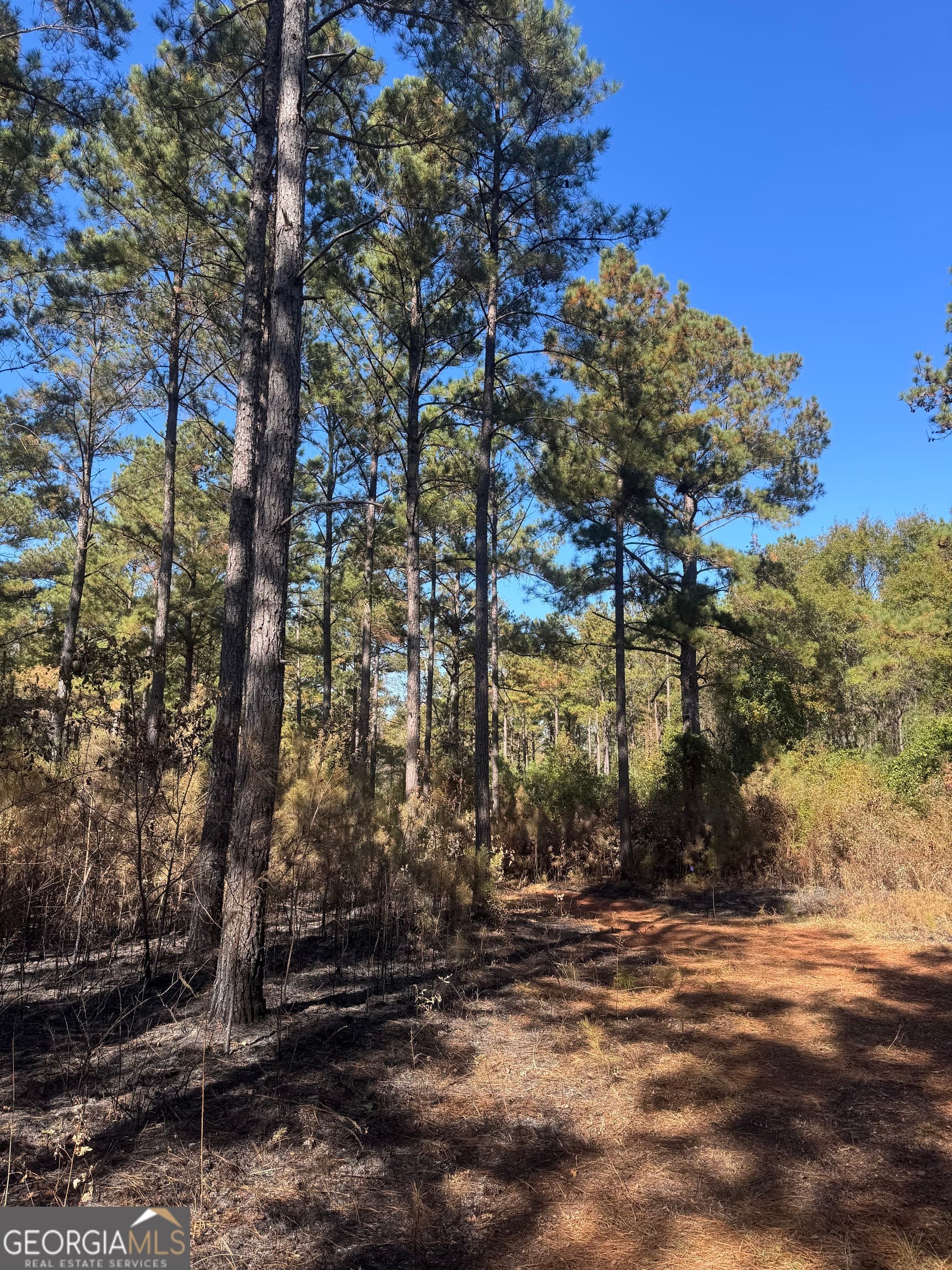 residential lot for sale at 131 W Drummond Road, West Point, GA 31833 — photo 4