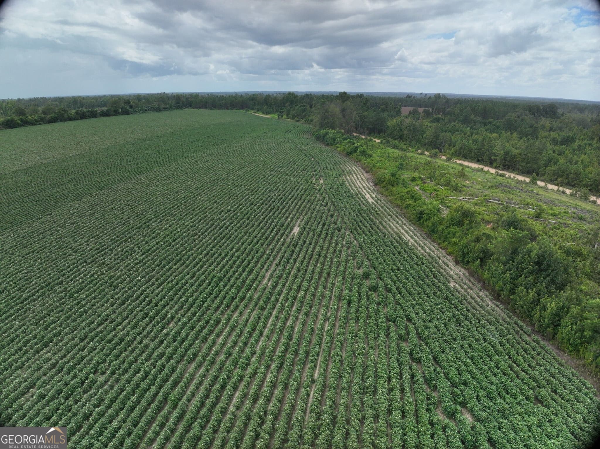 agriculture for sale at 0 Leman Road, Oak Park, GA 30401 — photo 7