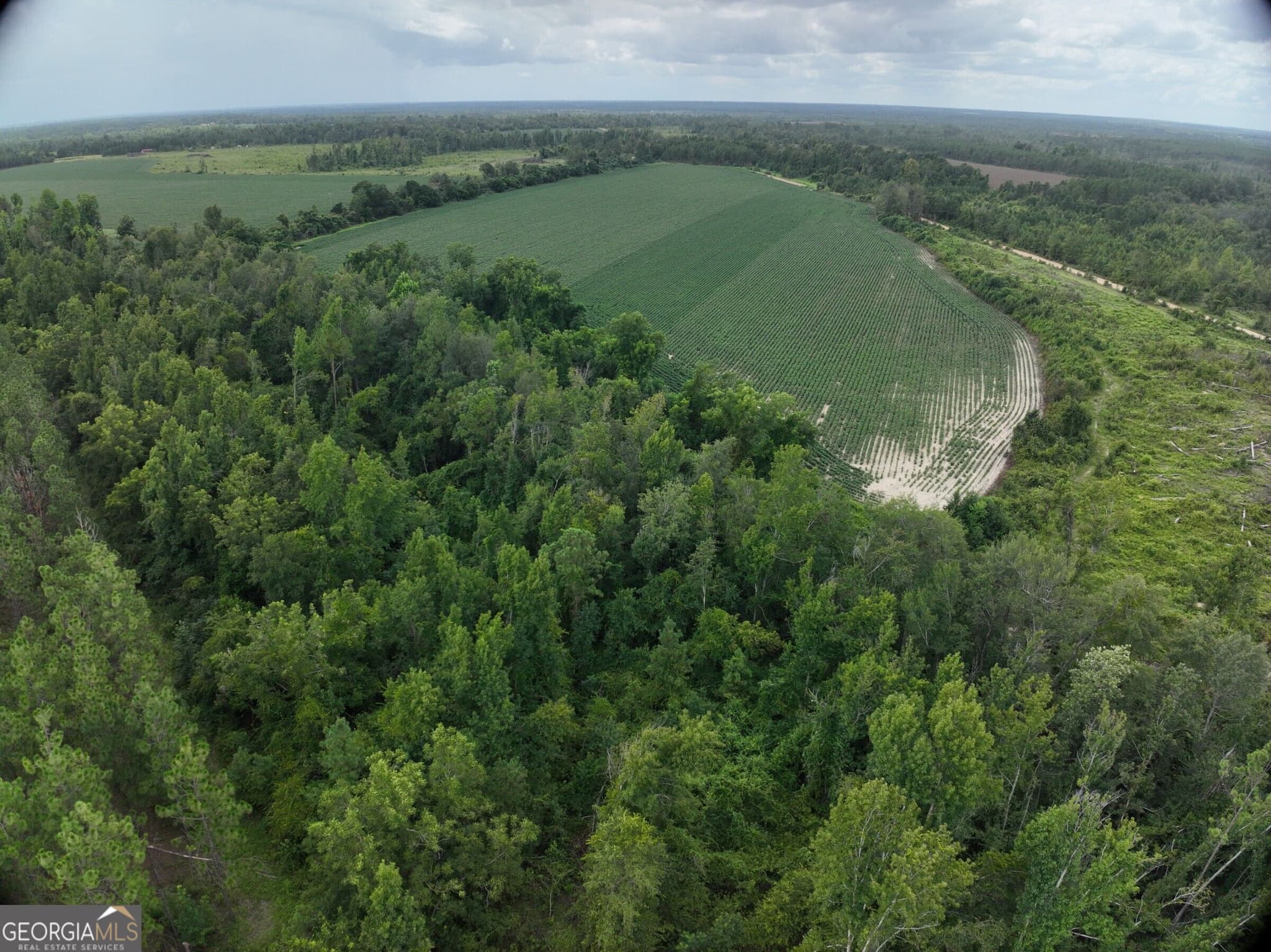 agriculture for sale at 0 Leman Road, Oak Park, GA 30401 — photo 3
