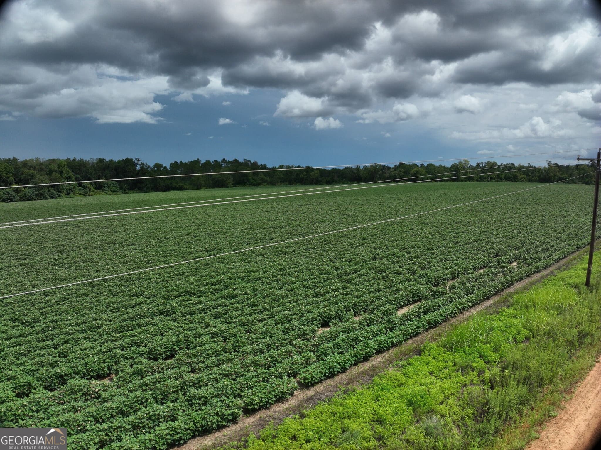 agriculture for sale at 0 Leman Road, Oak Park, GA 30401 — photo 5