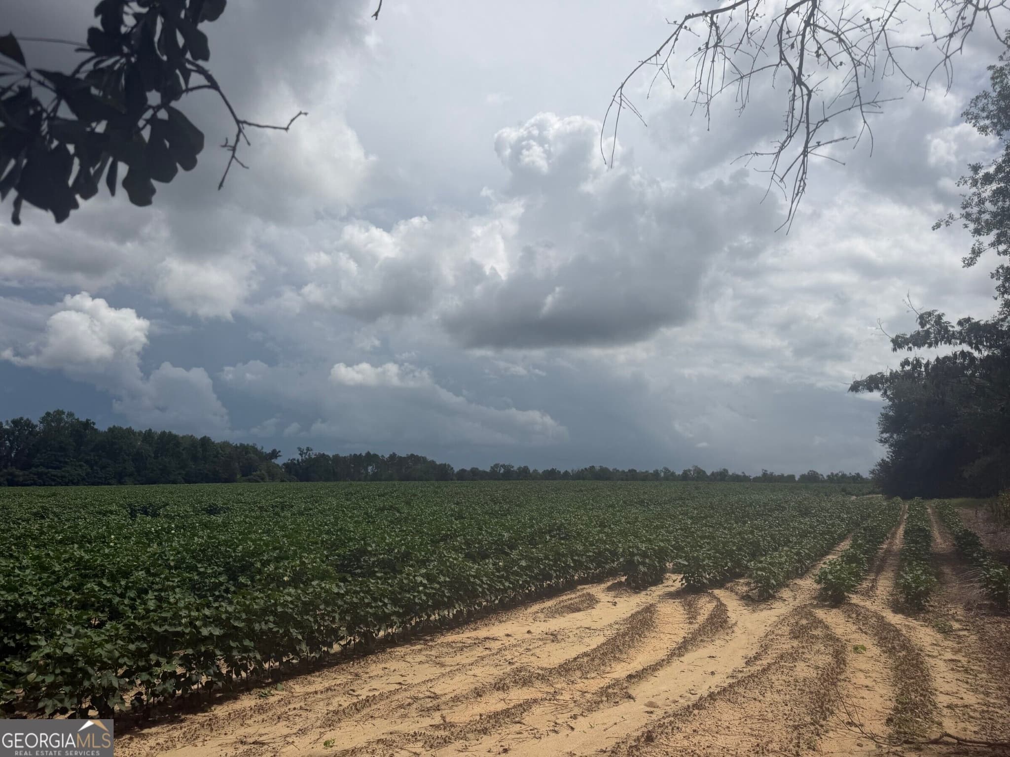 agriculture for sale at 0 Leman Road, Oak Park, GA 30401 — photo 9