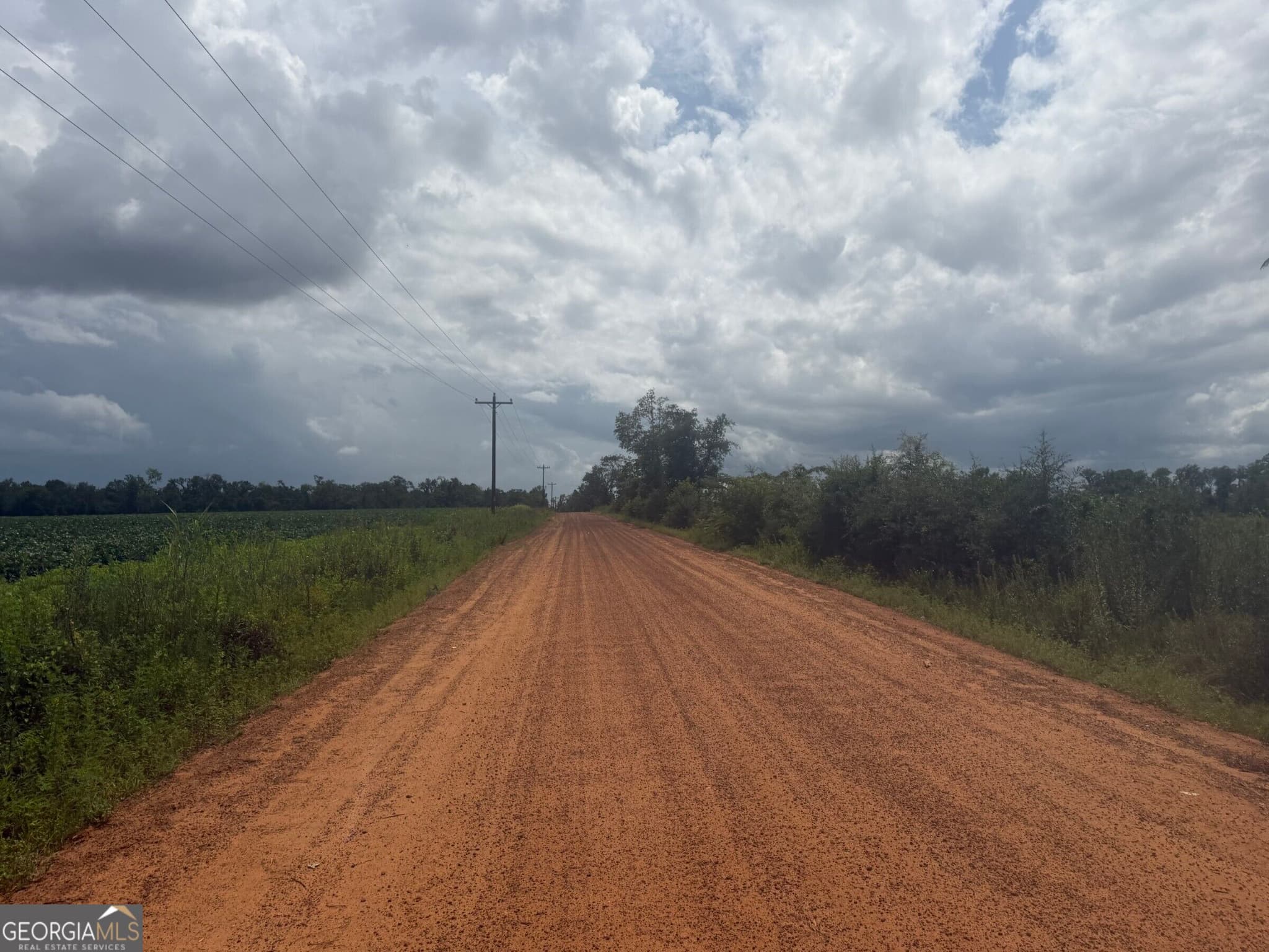 agriculture for sale at 0 Leman Road, Oak Park, GA 30401 — photo 10