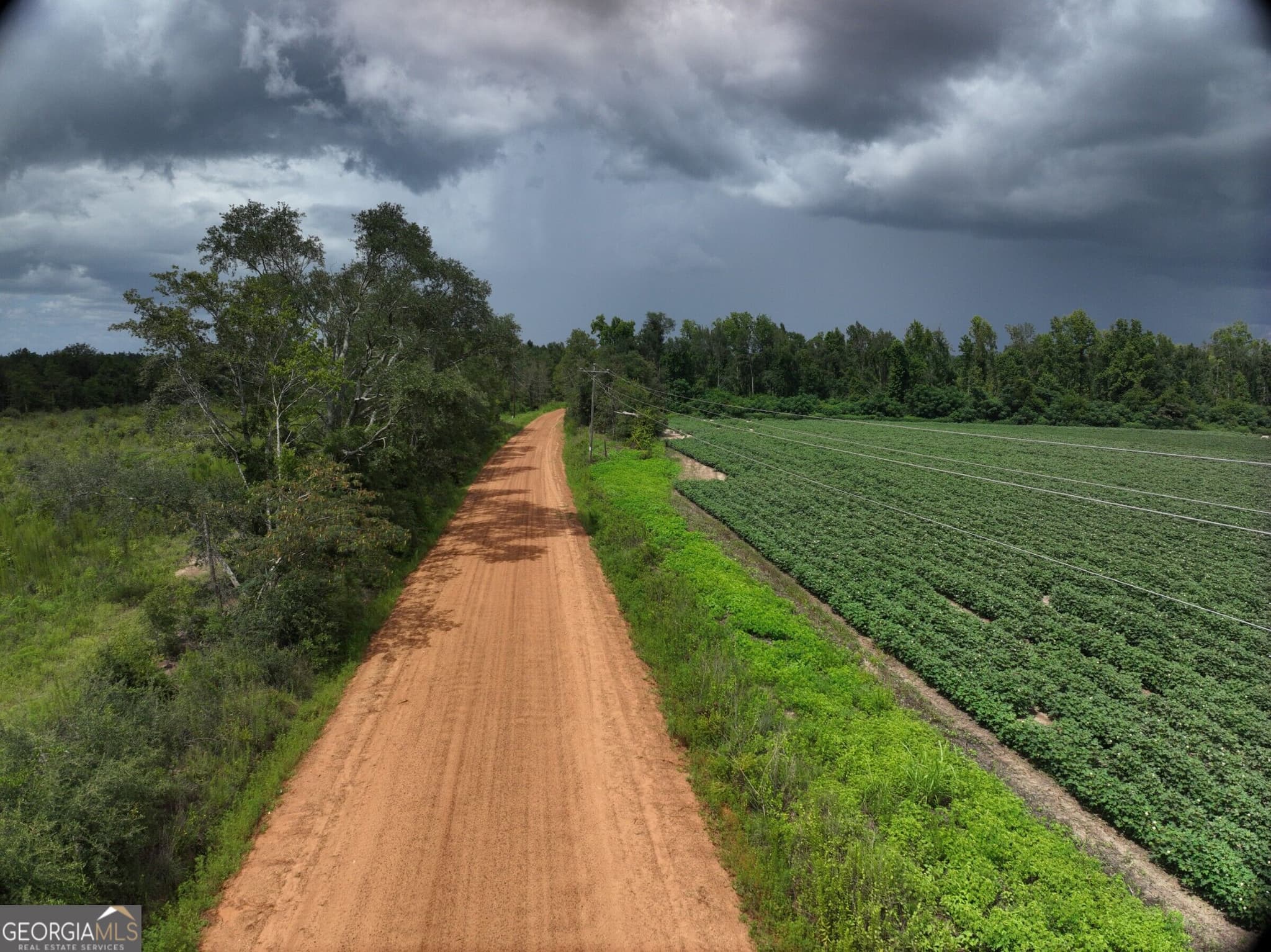 agriculture for sale at 0 Leman Road, Oak Park, GA 30401 — photo 4