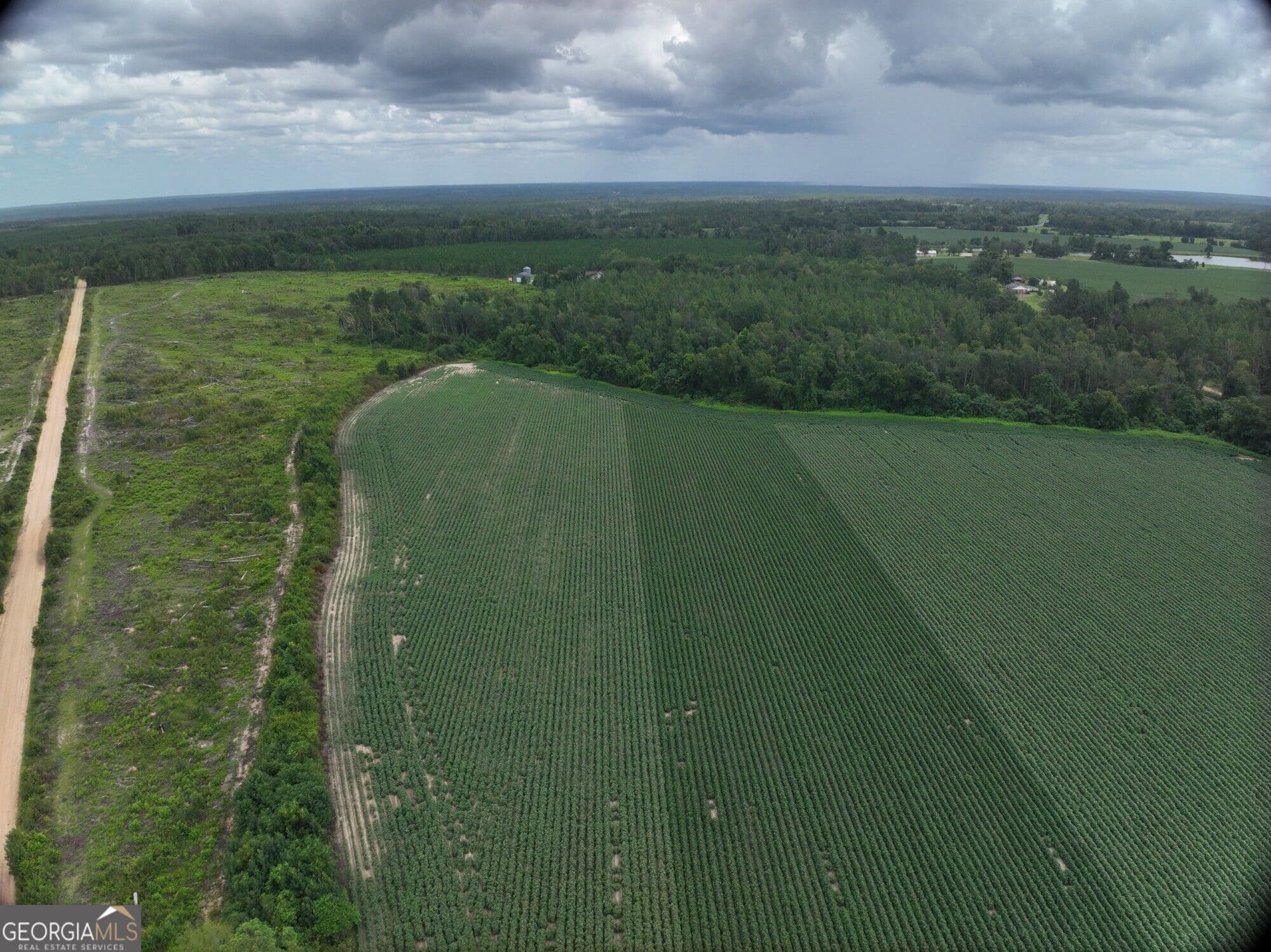 agriculture for sale at 0 Leman Road, Oak Park, GA 30401 — photo 8