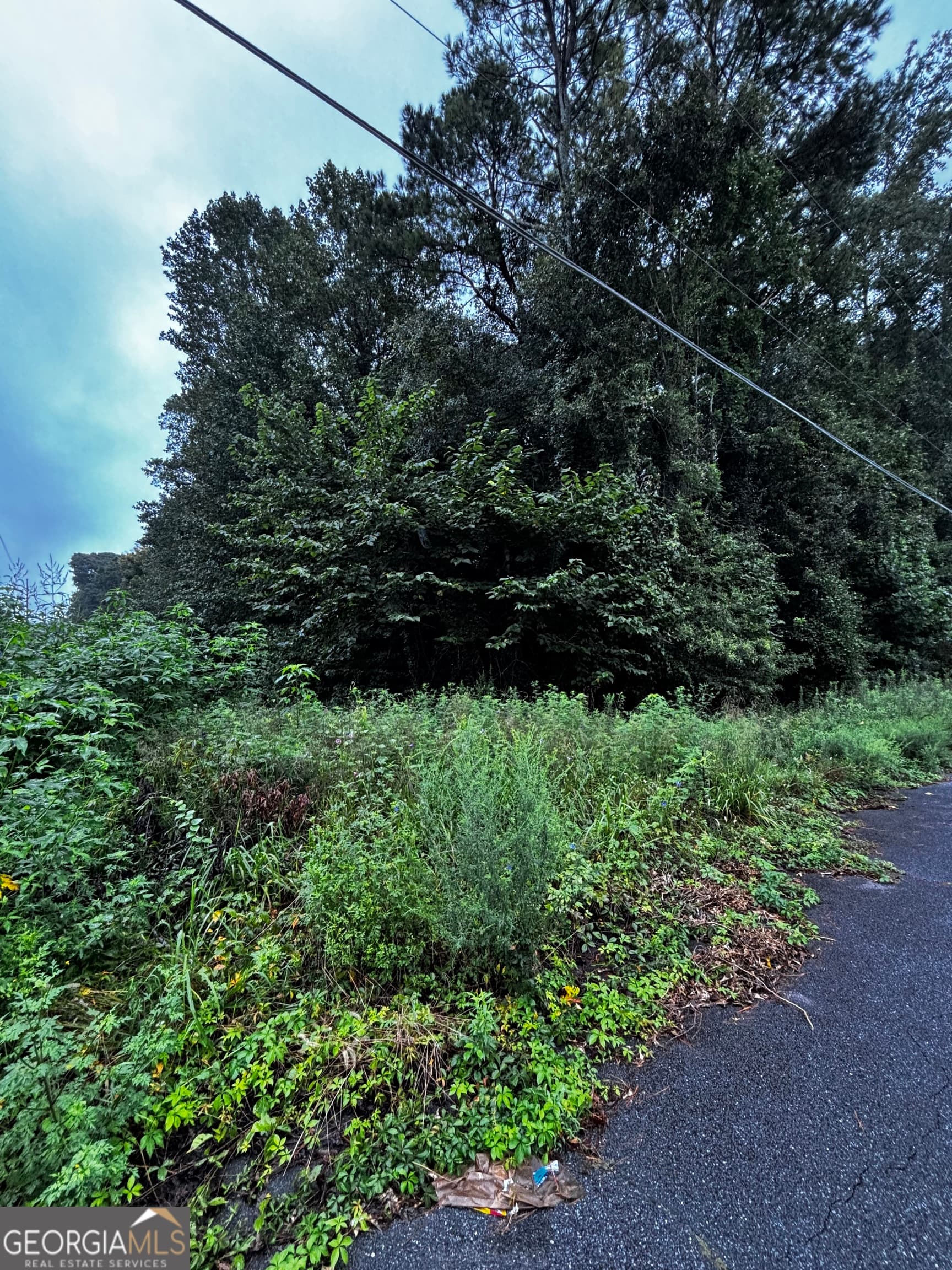 residential lot for sale at 8224 Freestone Drive, Jonesboro, GA 30236 — photo 2
